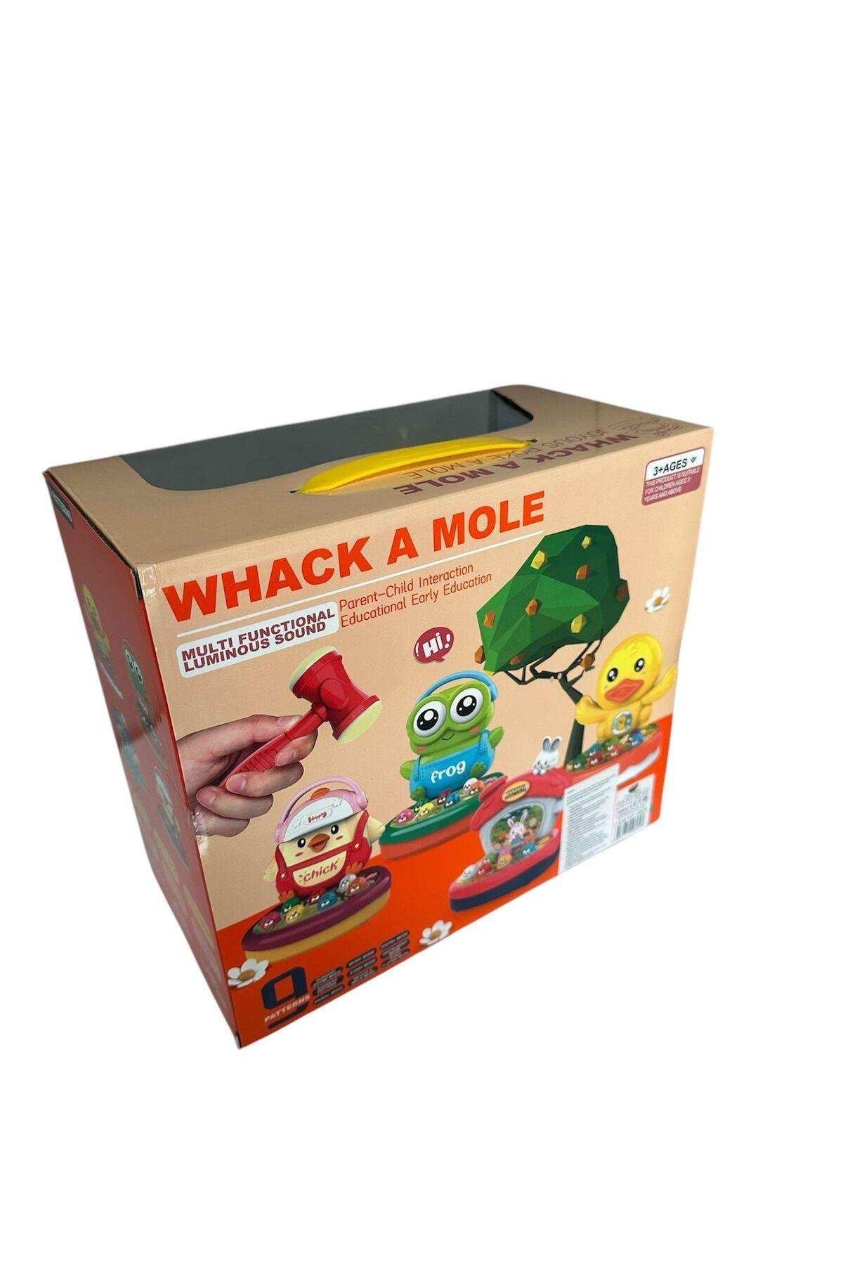 Tokmaklı Köstebek Oyunu-Kutu Oyunları