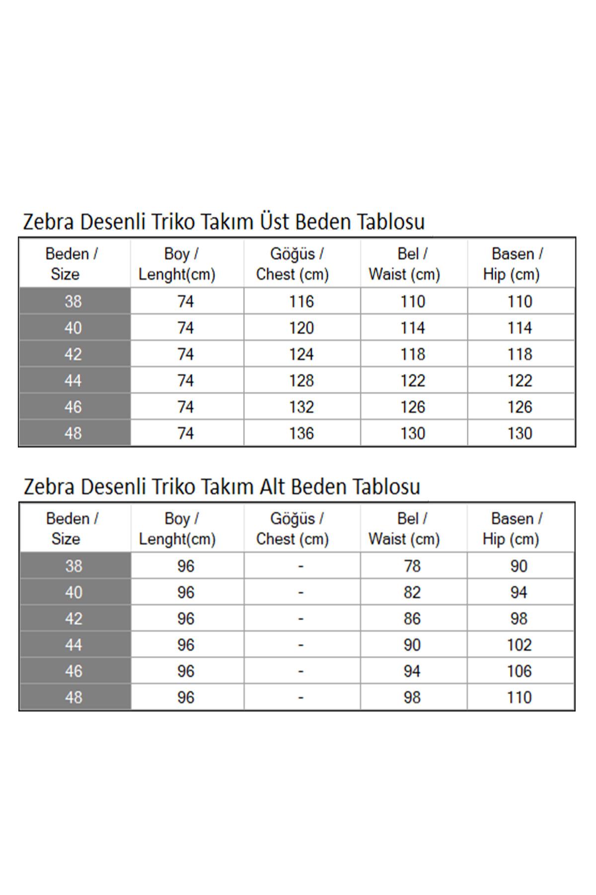 Zebra Desenli Triko Takım Gri 6154
