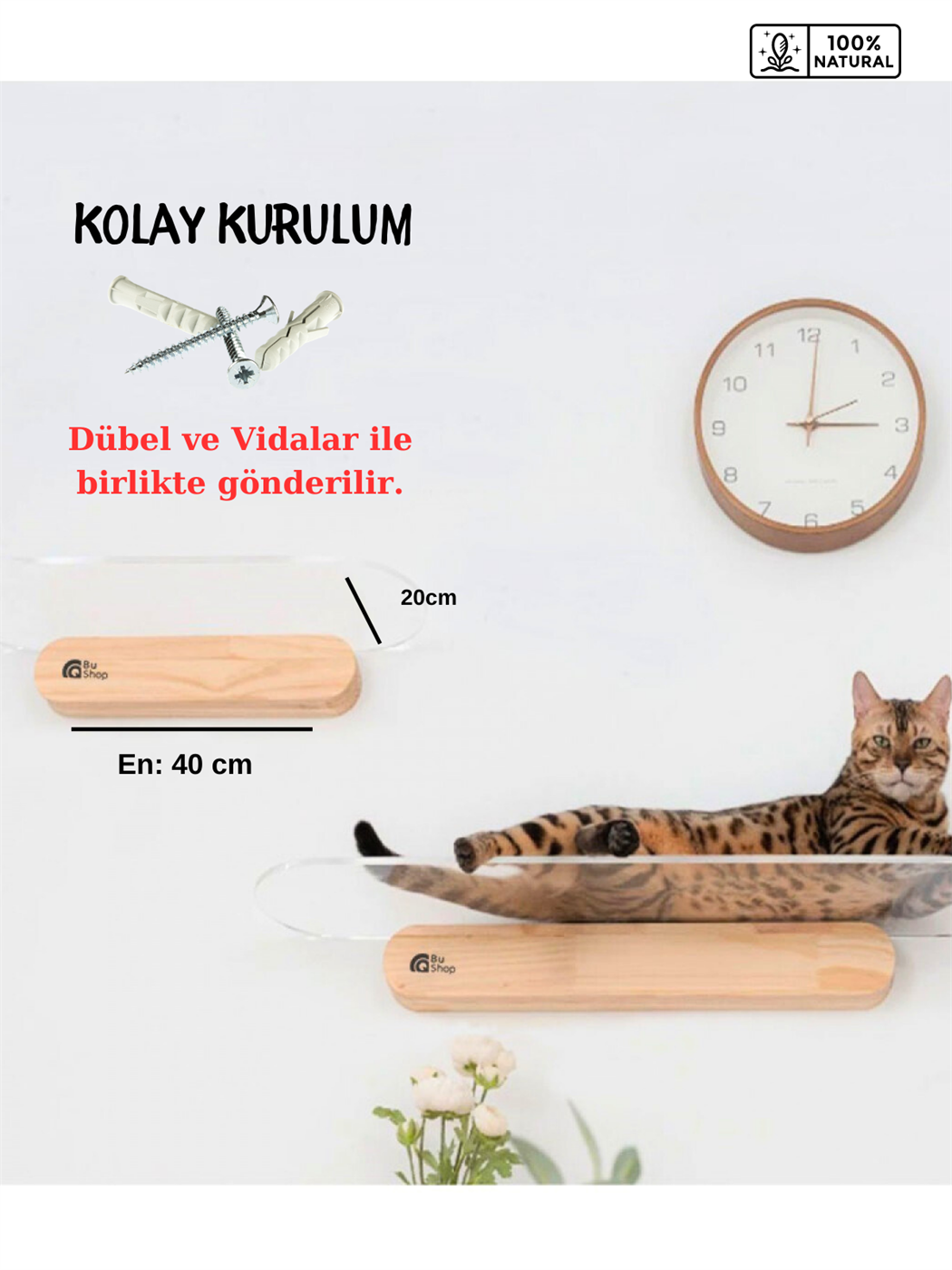 Kedi duvar rafı, Kedi Duvar parkuru, kedi duvar yatağı, Kedi duvar evi, Şeffaf Lüx Kedi Duvar Yatağı, BuShop Plex Serisi  20x40