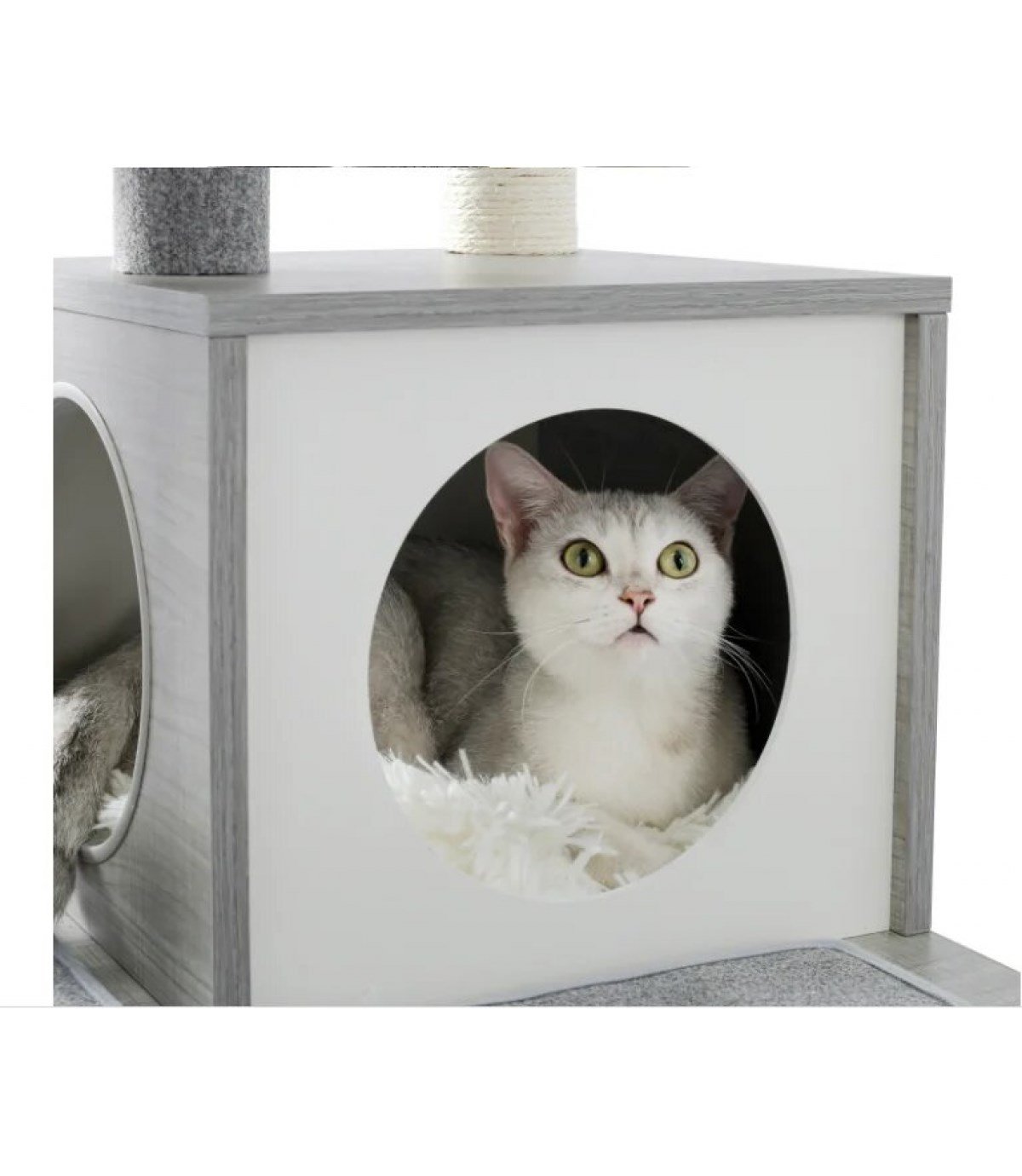 Kedi evi  kulesi kediler için özel bir yaşam alanı BuShop kedi ağacı  Lüx kedi evi Spor