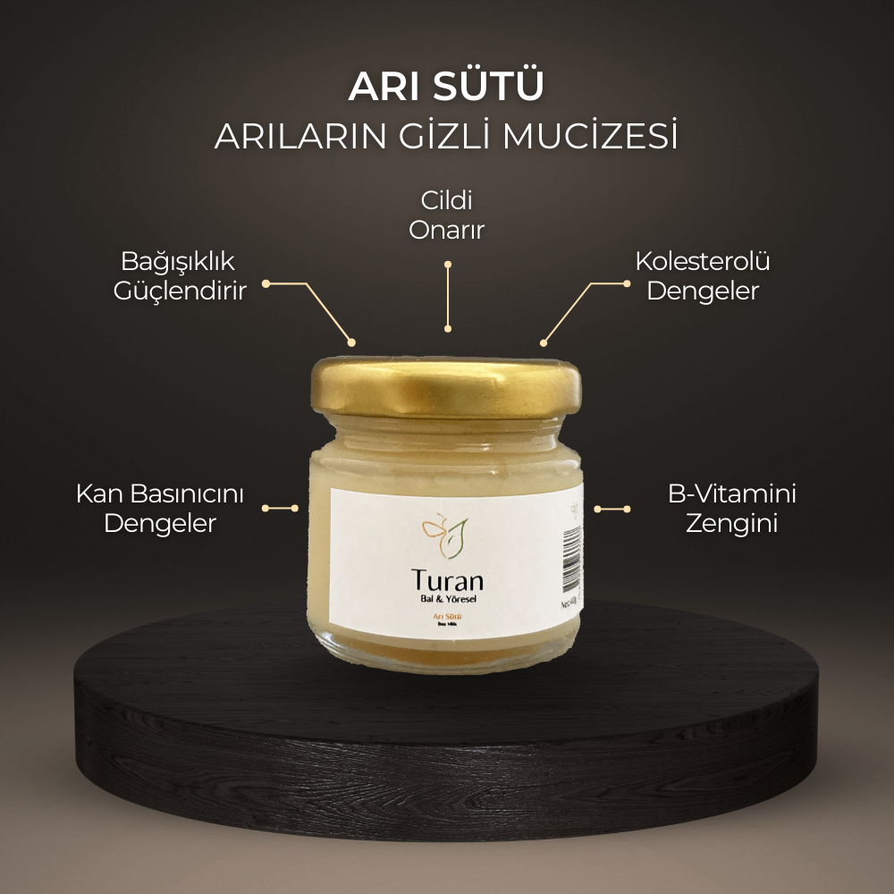 ARI SÜTÜ 40g