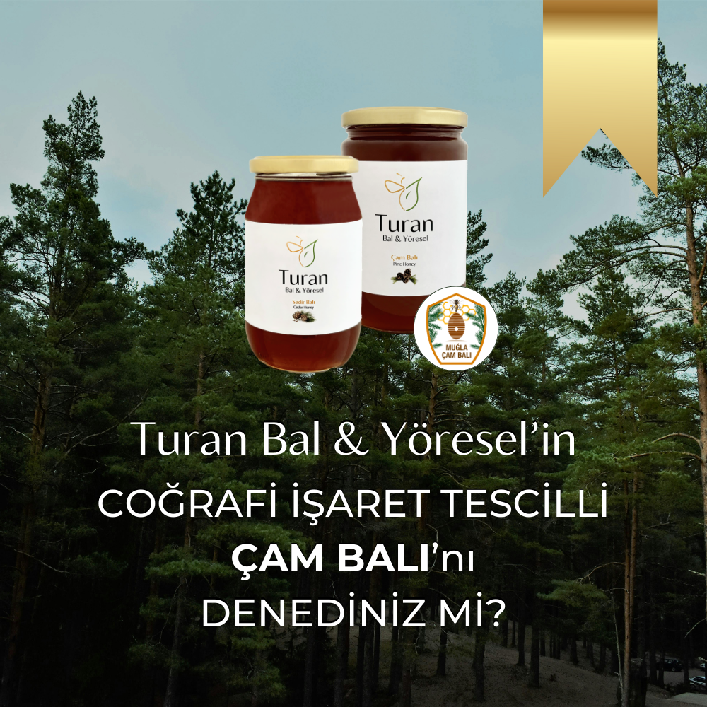 ÇAM BALI Coğrafi İşaret Tescilli 850g
