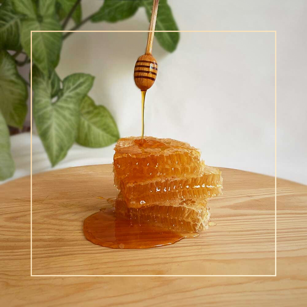 PETEK BAL KASA 100g