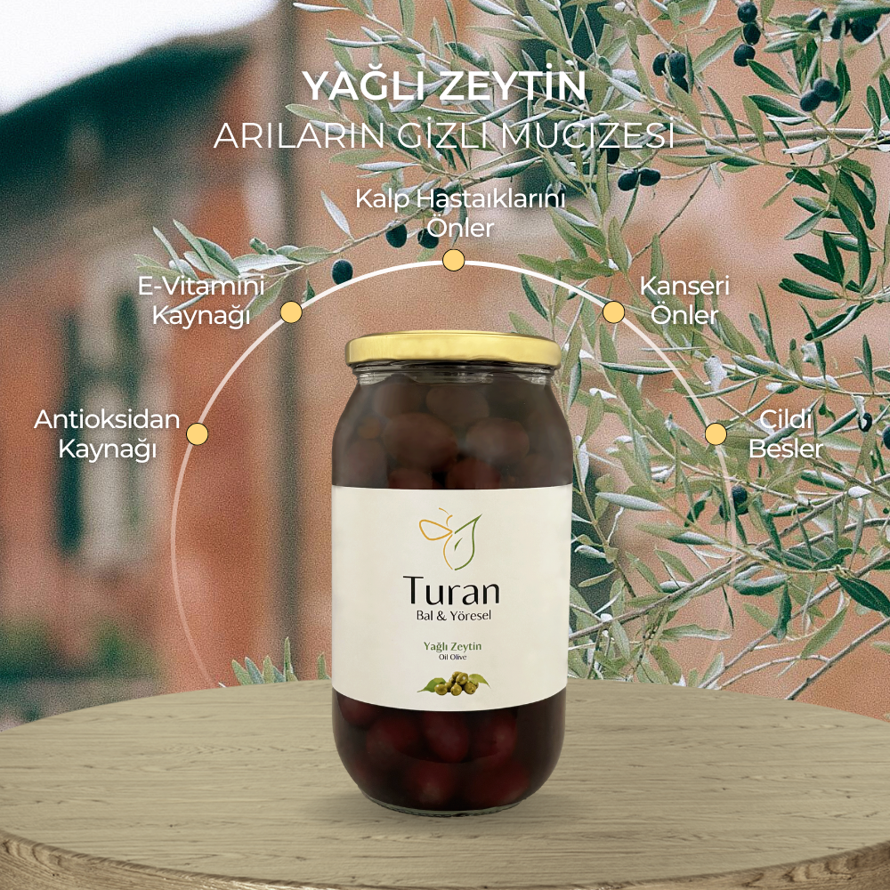 YAĞLI ZEYTİN 850g