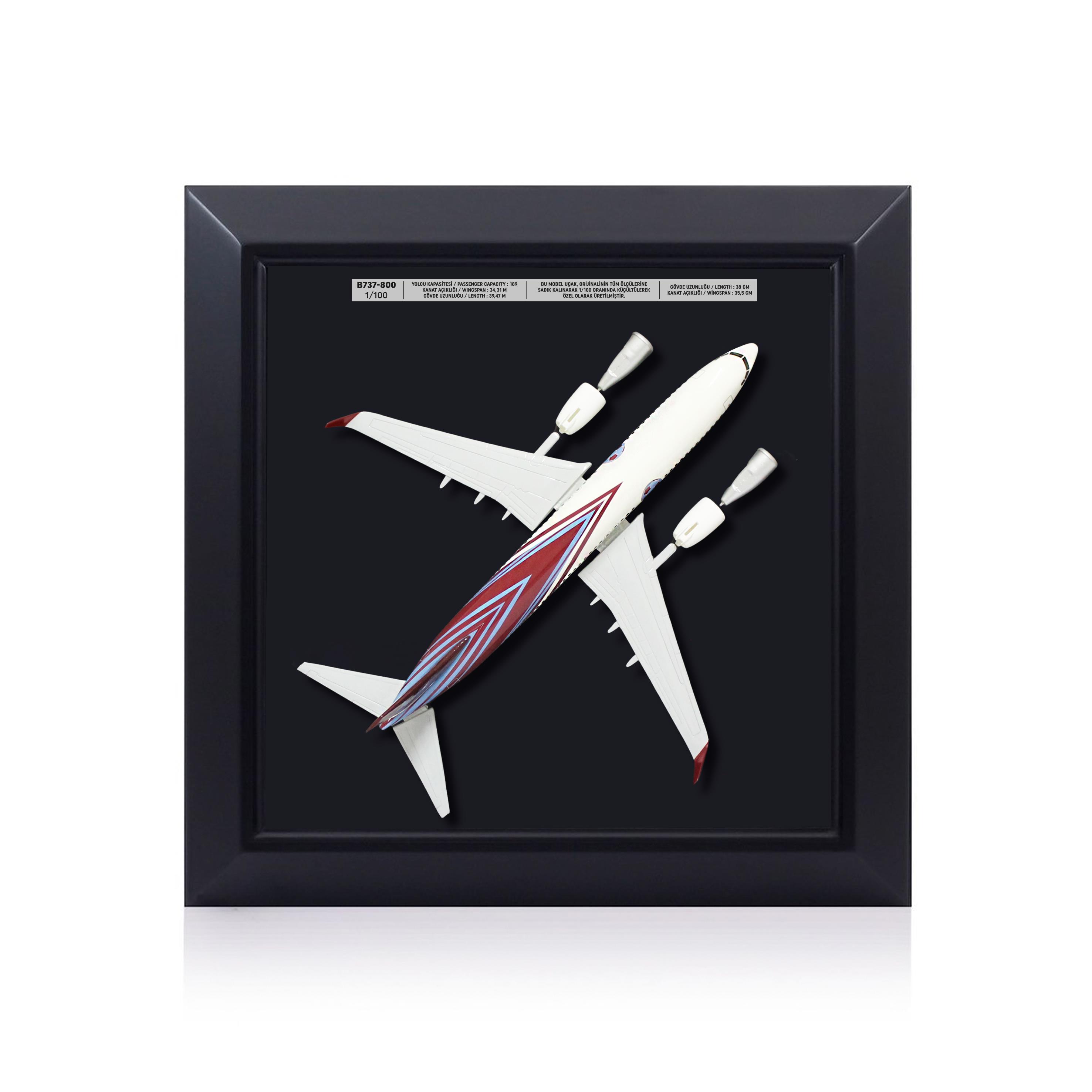 UCC0009Zekupp Boeing 737-800 1/100 Ölçek Bordo Mavi Tasarım Uçak Tablo