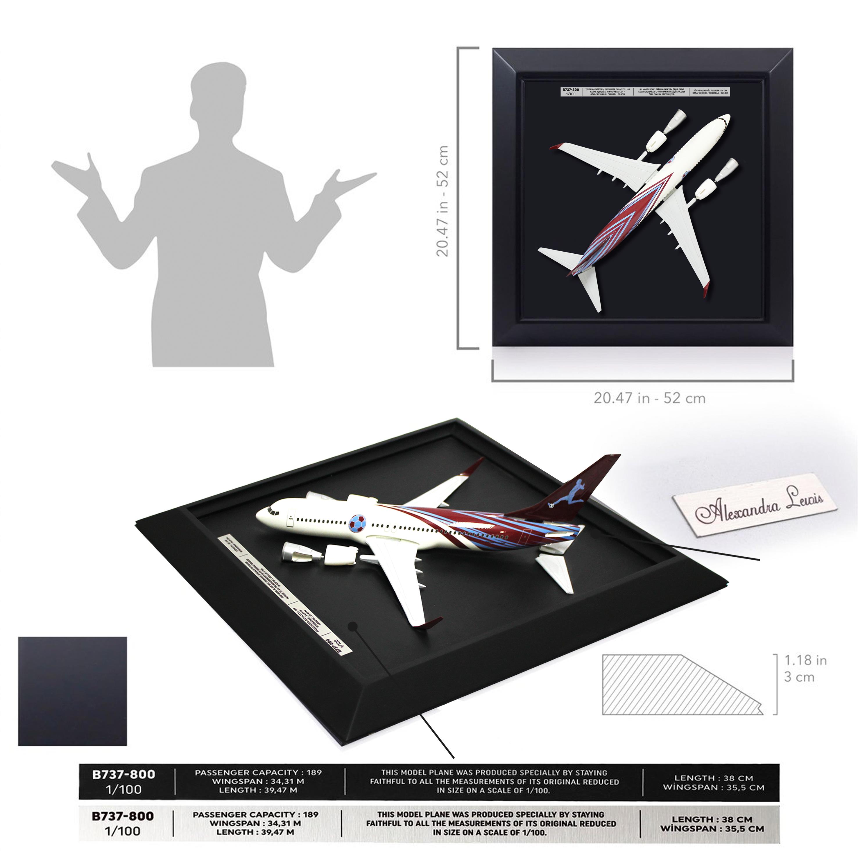 UCC0009Zekupp Boeing 737-800 1/100 Ölçek Bordo Mavi Tasarım Uçak Tablo