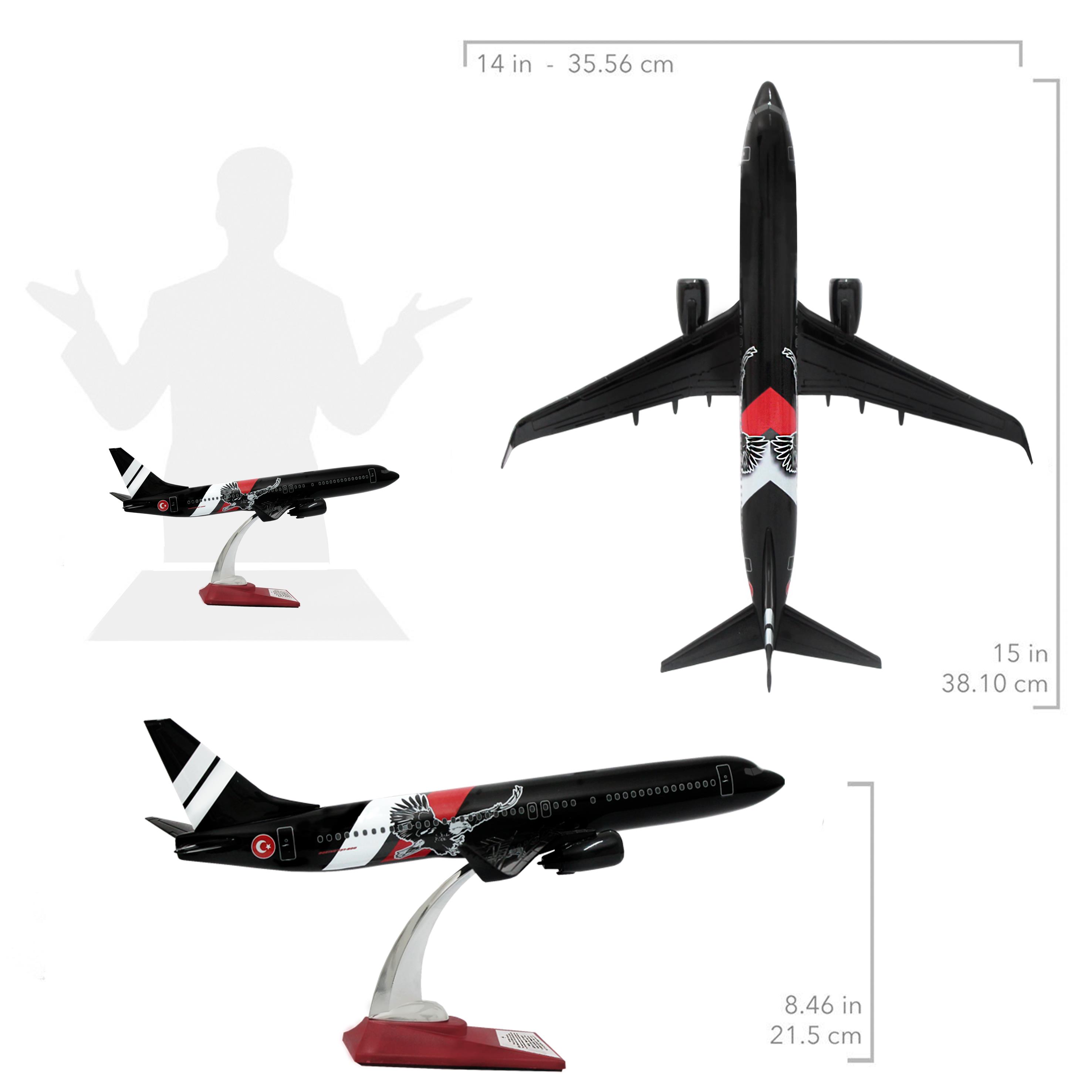 UCK0155Zekupp Boeing 737-800 1/100 Ölçek Siyah  Kartal Tasarımlı Maket Uçak