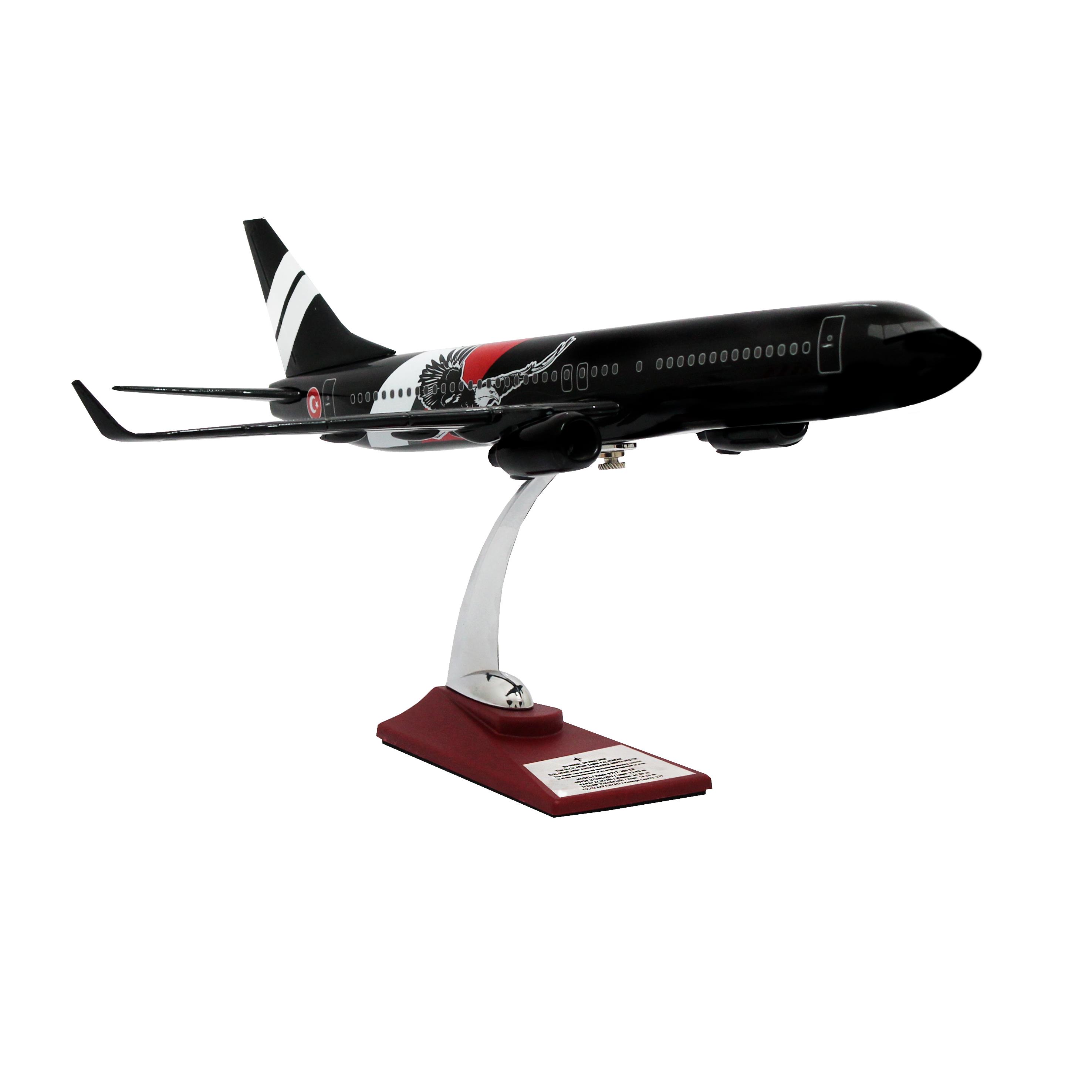 UCK0155Zekupp Boeing 737-800 1/100 Ölçek Siyah  Kartal Tasarımlı Maket Uçak