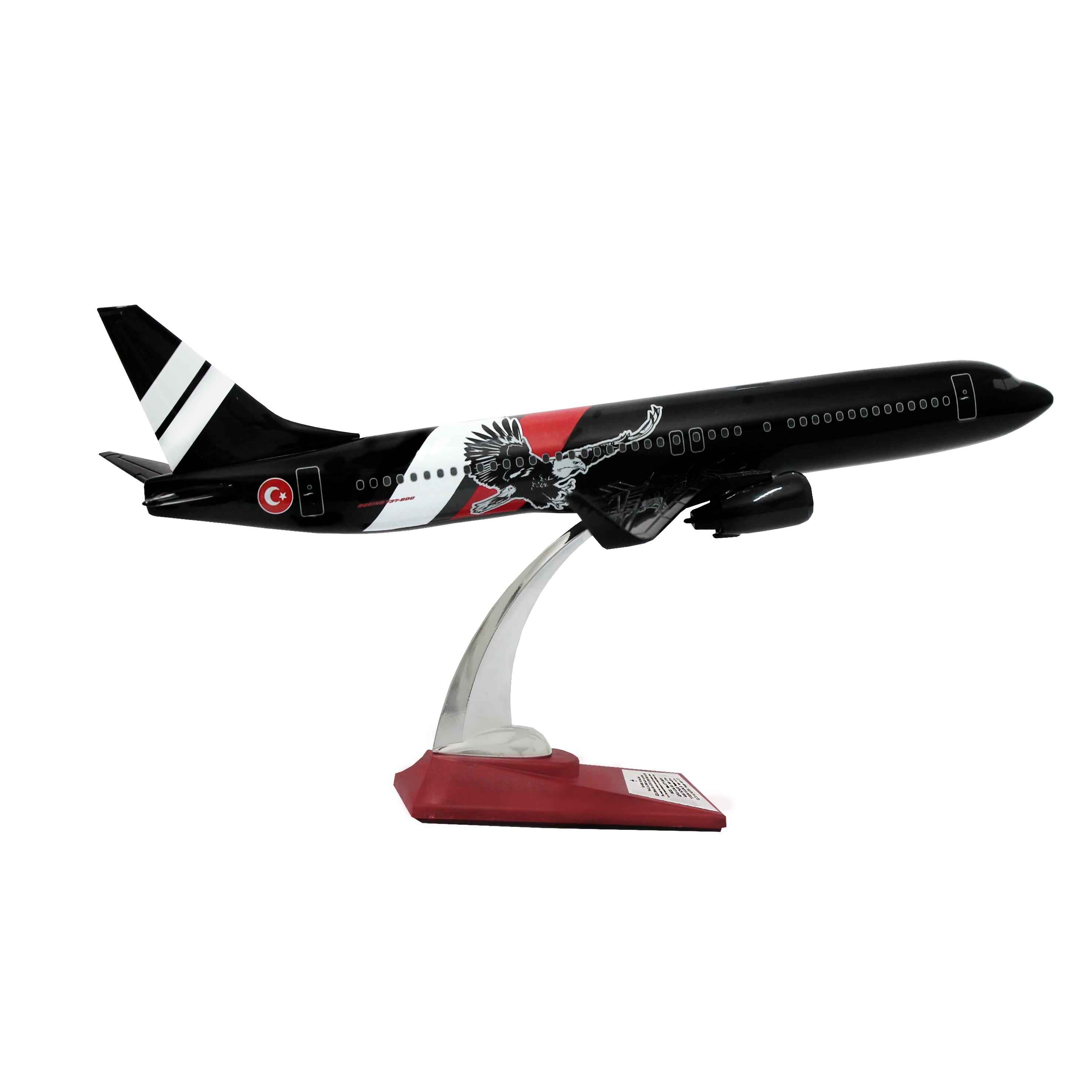 UCK0155Zekupp Boeing 737-800 1/100 Ölçek Siyah  Kartal Tasarımlı Maket Uçak