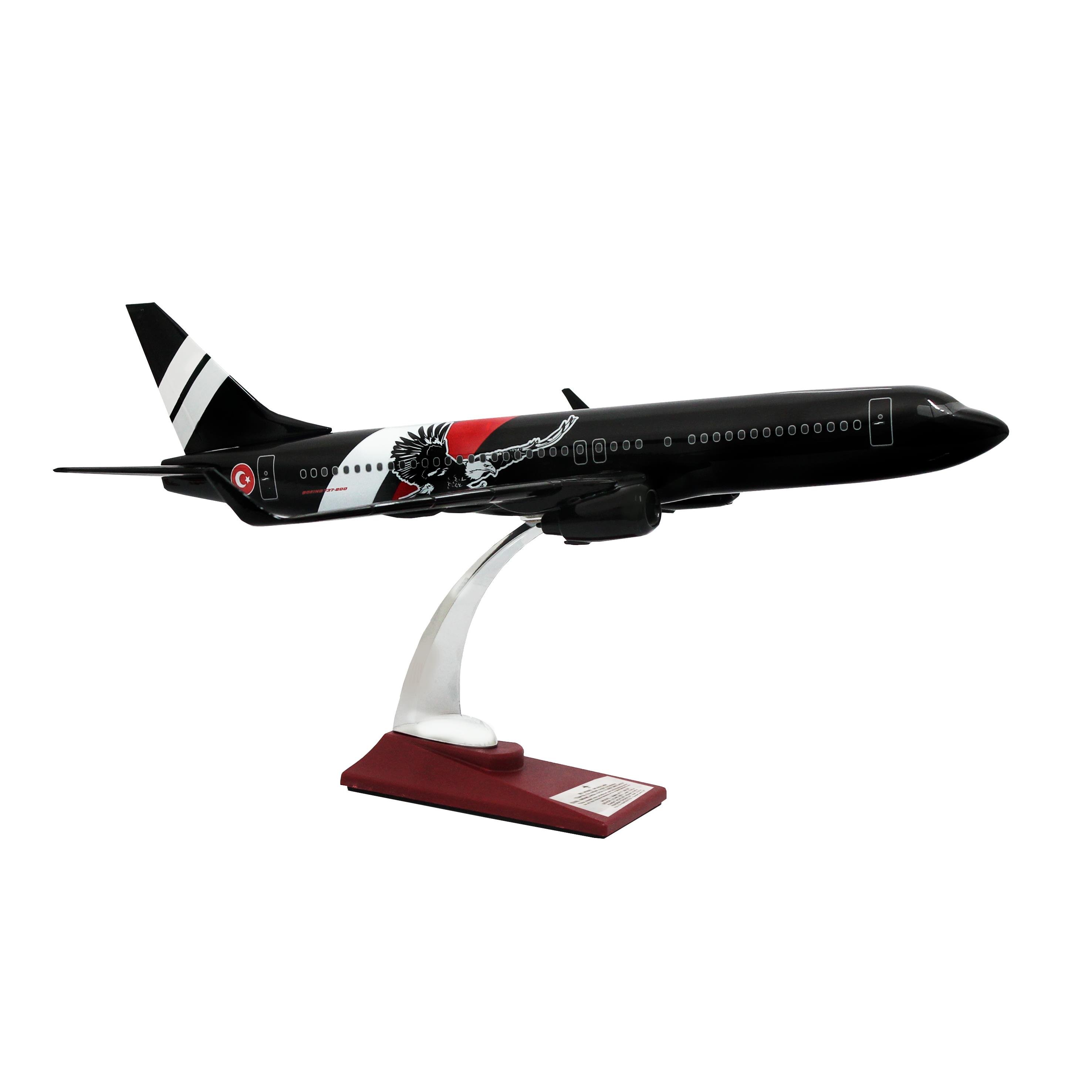 UCK0155Zekupp Boeing 737-800 1/100 Ölçek Siyah  Kartal Tasarımlı Maket Uçak