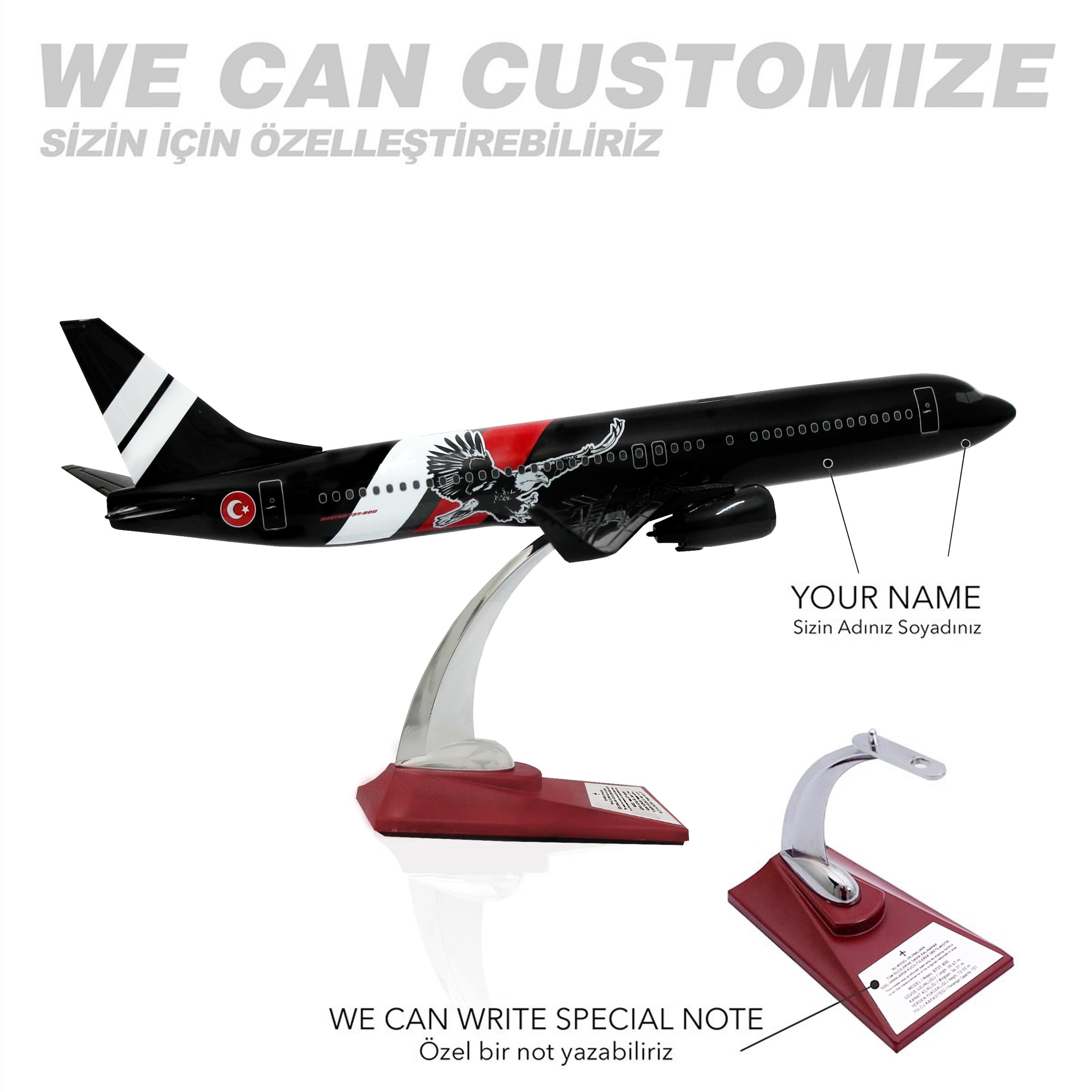 UCK0155Zekupp Boeing 737-800 1/100 Ölçek Siyah  Kartal Tasarımlı Maket Uçak