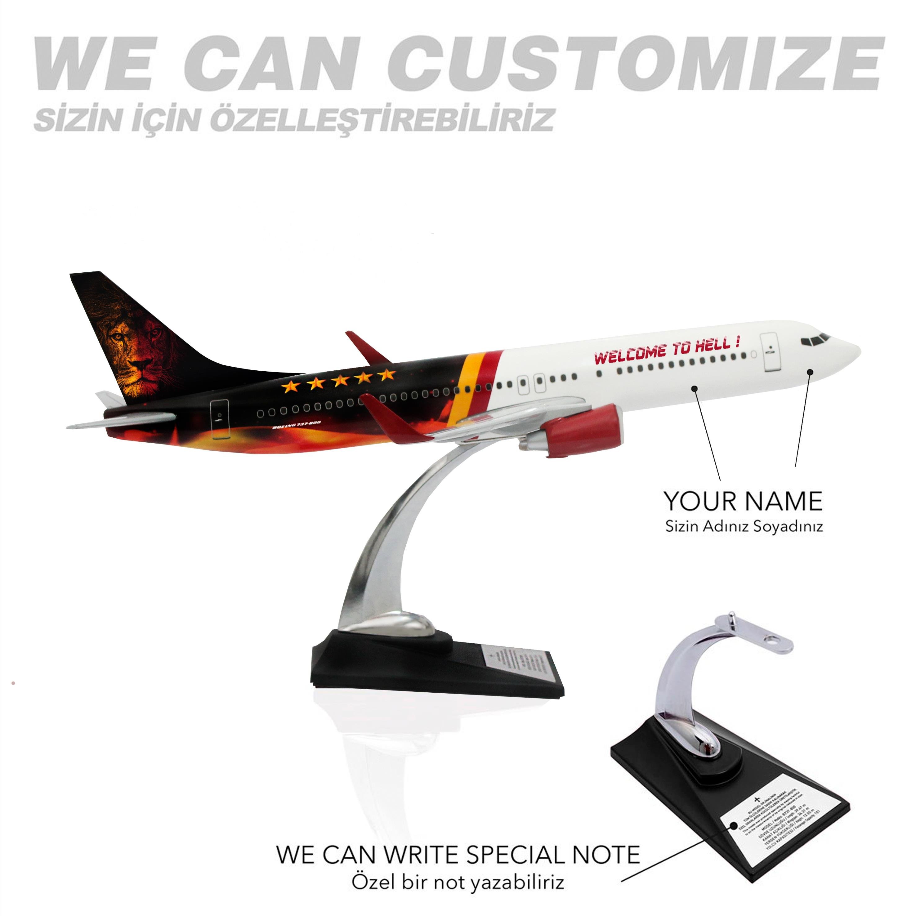 UCK0210Zekupp Boeing 737-800 1/100 Ölçek Welcome to Hell Tasarımlı Maket Uçak