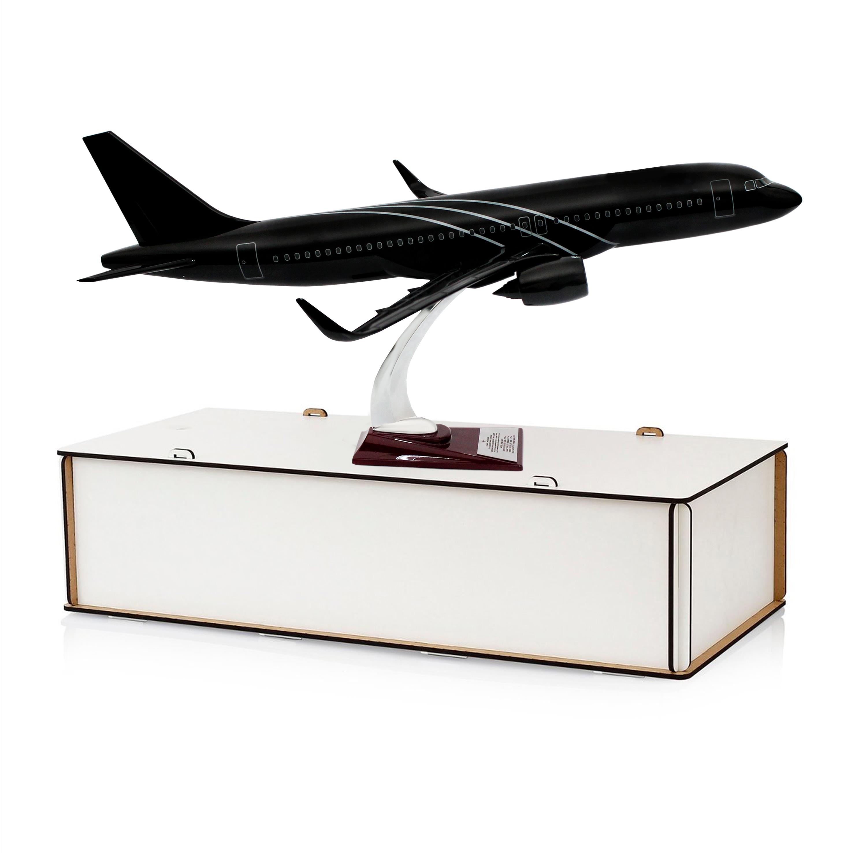 UCK0215Zekupp Airbus 320-200 1/60 Ölçek Çizgili  Tasarım Keman Boy Maket Uçak