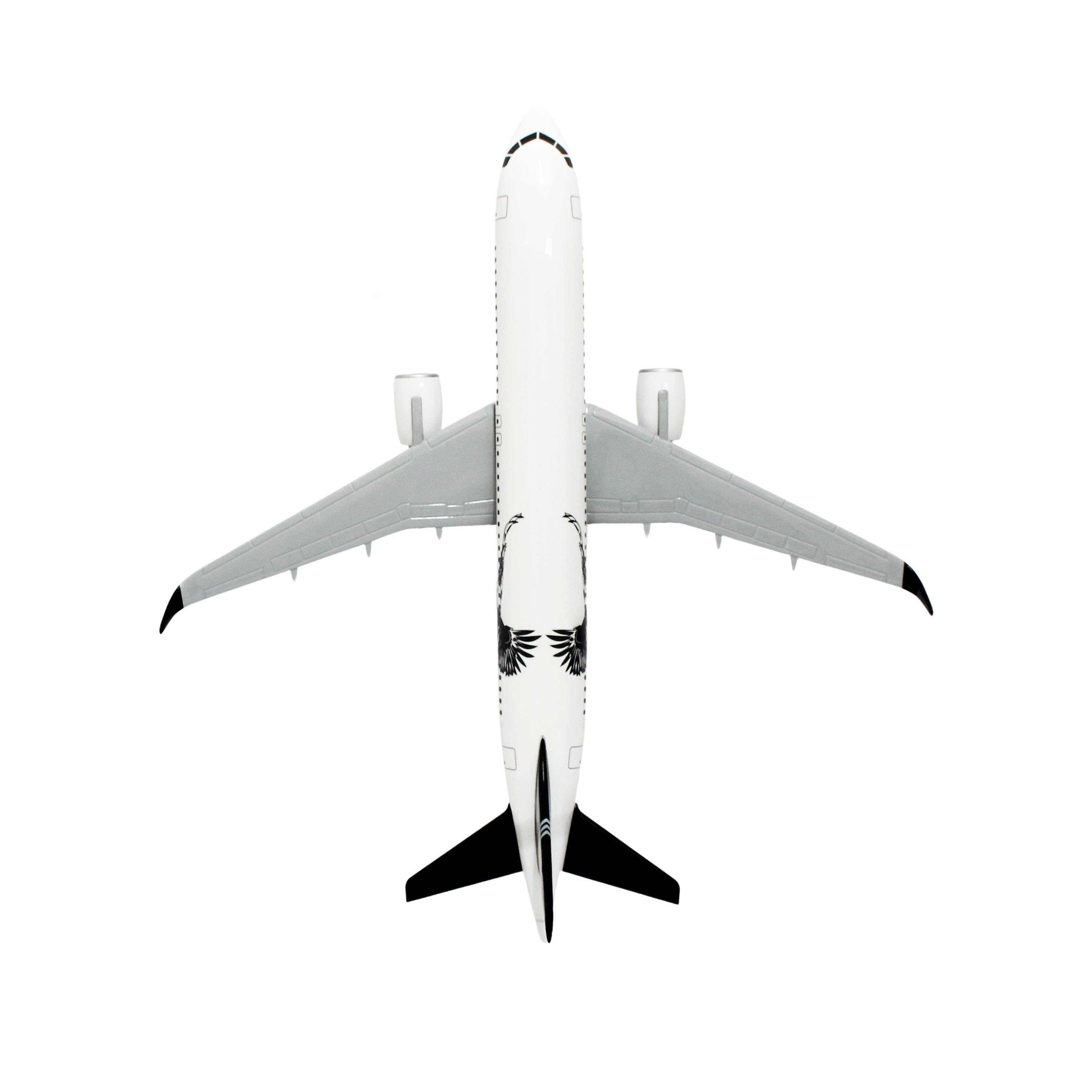 UCK0217Zekupp Airbus 320-200 1/60 Ölçek Siyah Beyaz Kartal Tasarım Keman Boy Maket Uçak