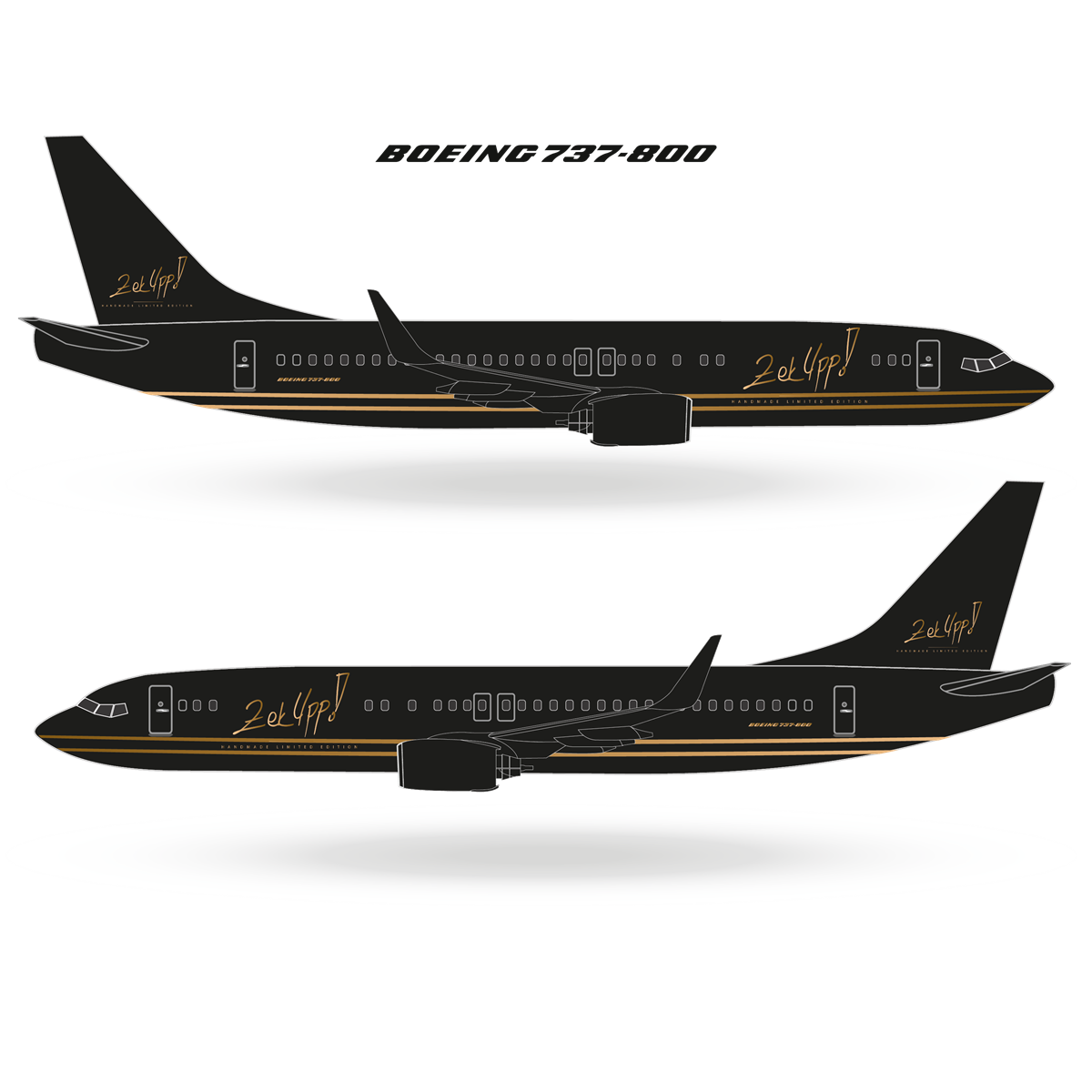 UCK9999ÖZEL TASARIM KİŞİYE ÖZEL MODEL UÇAK BOING 737-800 BEYAZ
