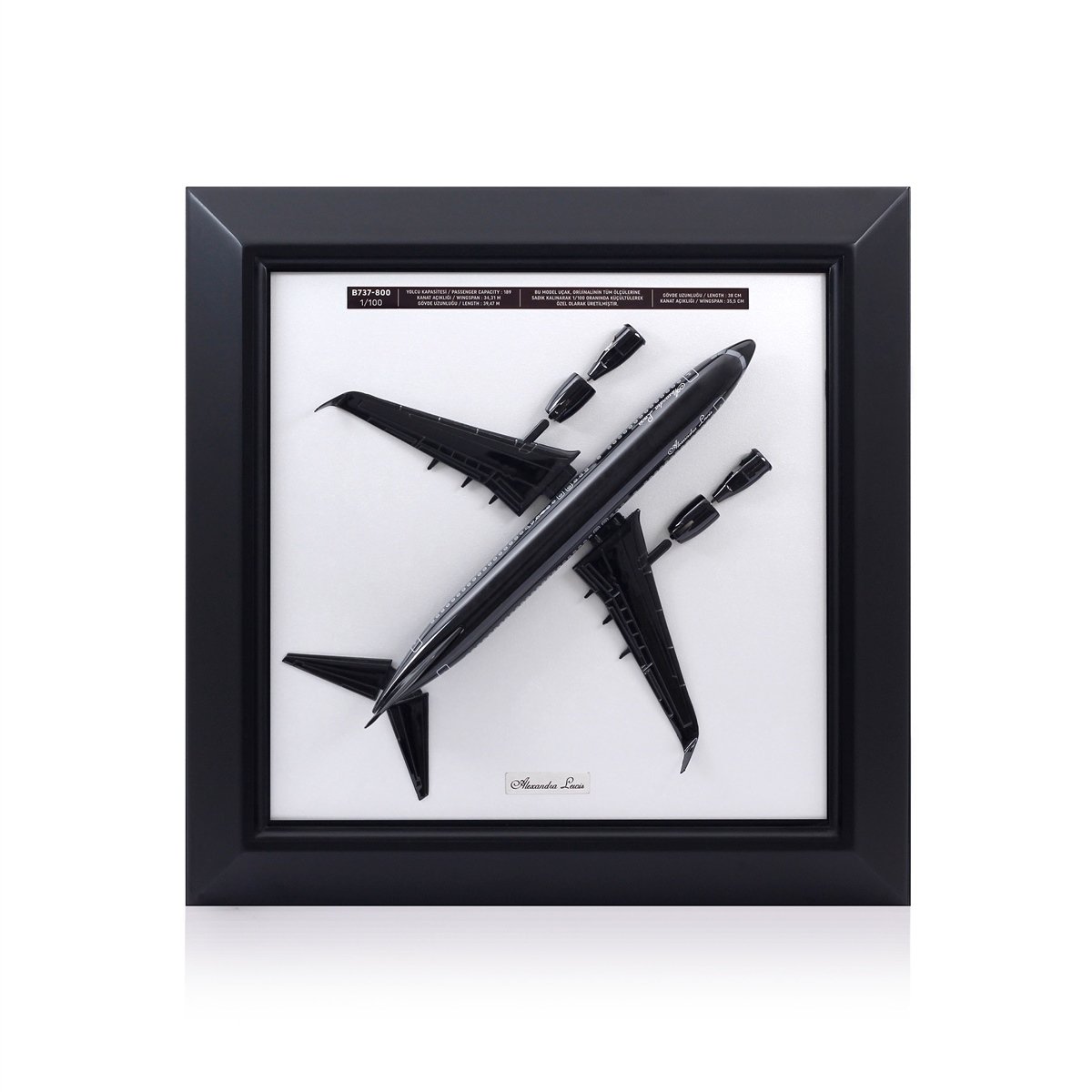 Zekupp Boeing 737 Model Uçak Tablo, Ahşap Duvar Dekorasyonu, 1/100 Ölçekli 3 Boyutlu Uçak Tablo, Özel Renk Seçenekli Özel El Yapımı Hediye
