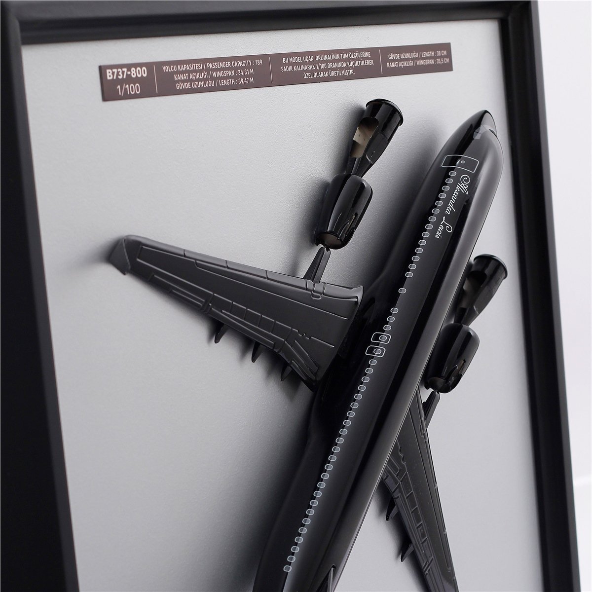 Zekupp Boeing 737 Model Uçak Tablo, Ahşap Duvar Dekorasyonu, 1/100 Ölçekli 3 Boyutlu Uçak Tablo, Özel Renk Seçenekli Özel El Yapımı Hediye