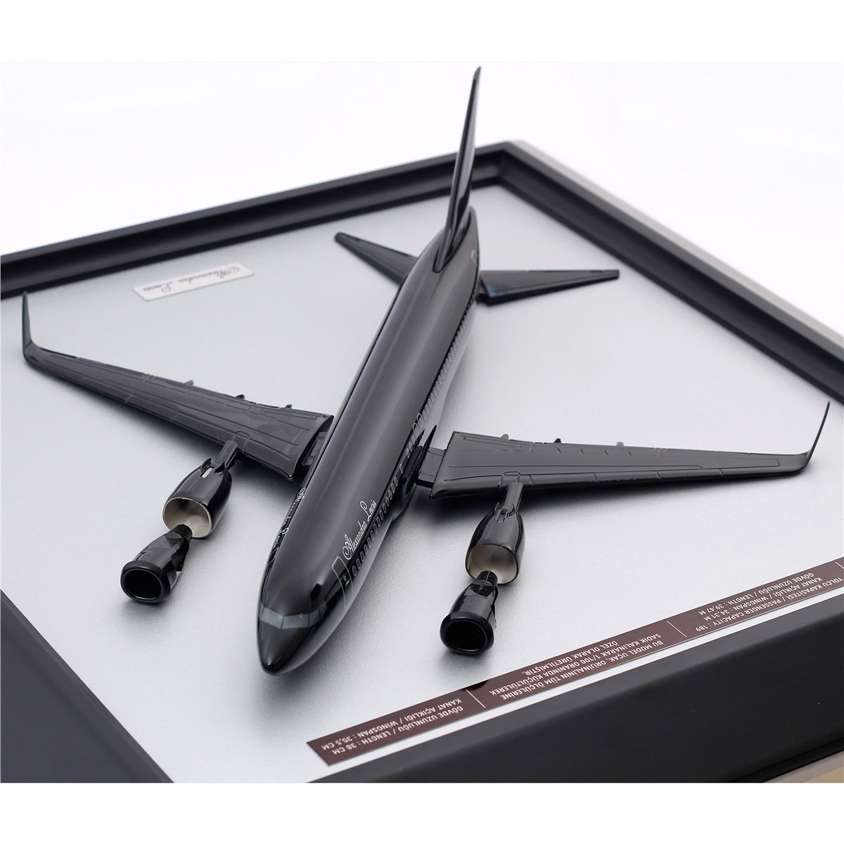 Zekupp Boeing 737 Model Uçak Tablo, Ahşap Duvar Dekorasyonu, 1/100 Ölçekli 3 Boyutlu Uçak Tablo, Özel Renk Seçenekli Özel El Yapımı Hediye