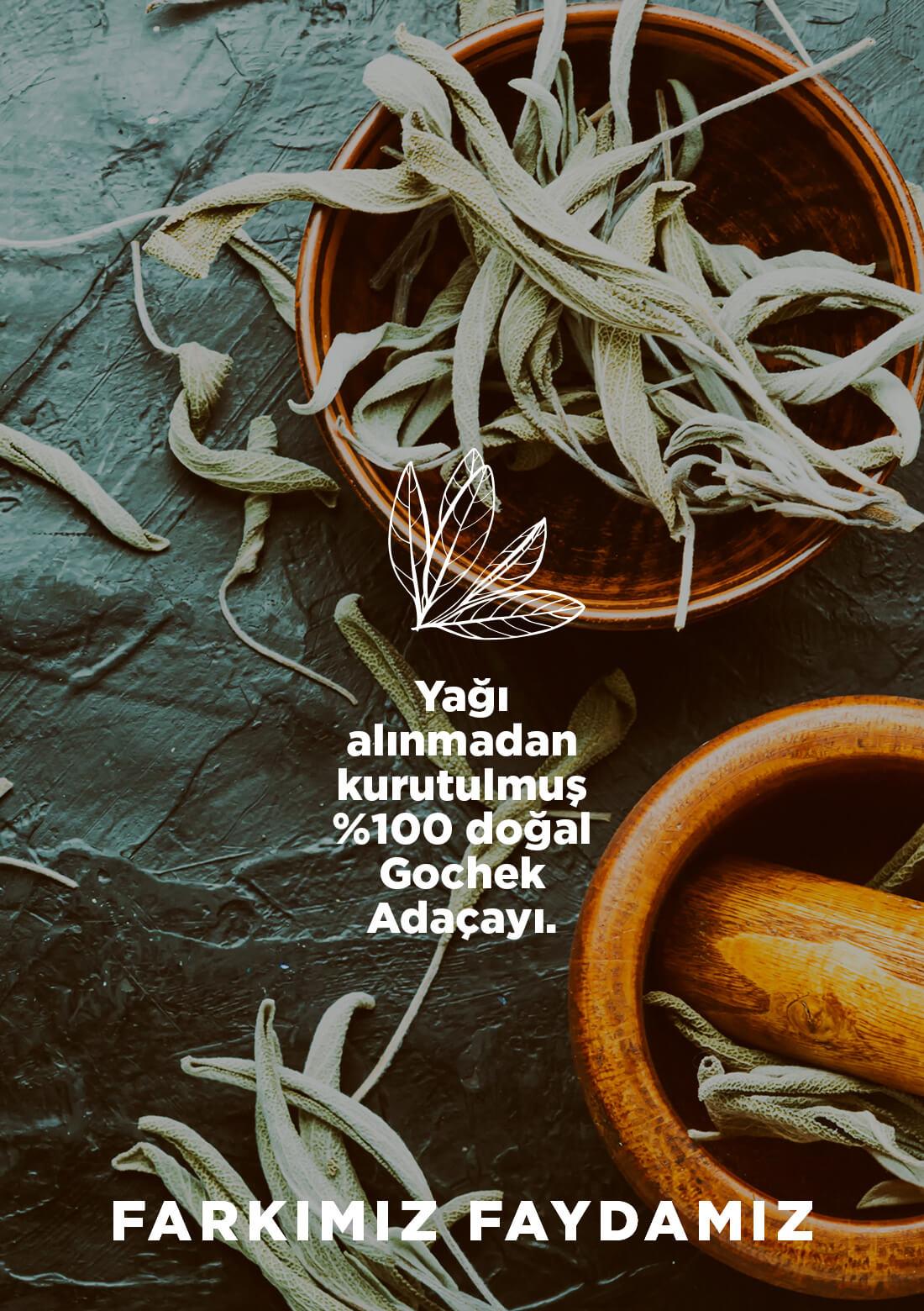 Salbei – 100% natürlich, 20 g – ECOCERT-Bio-zertifiziert aus unseren eigenen Gärten