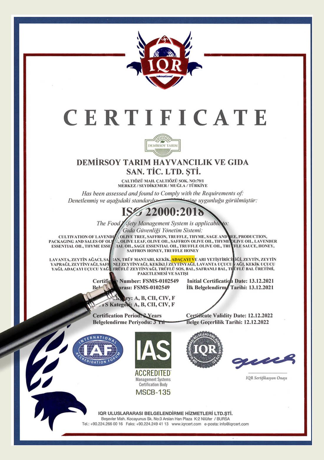 Salbei – 100% natürlich, 20 g – ECOCERT-Bio-zertifiziert aus unseren eigenen Gärten