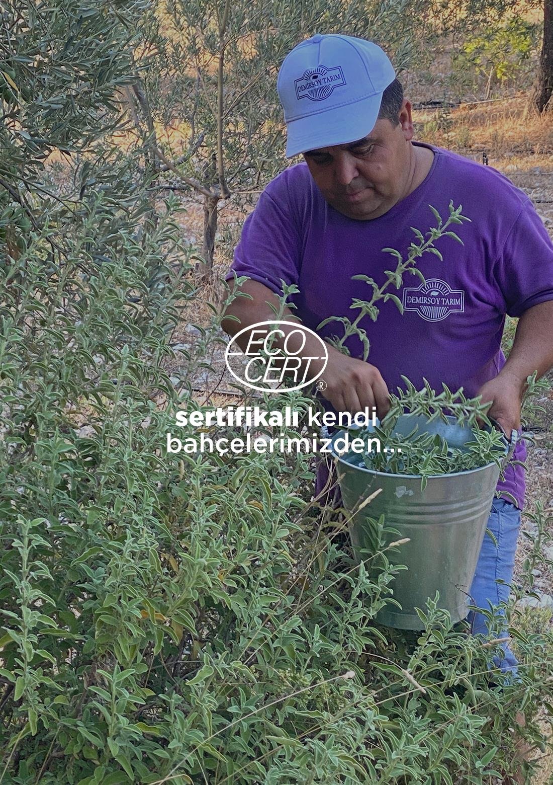 Salbei – 100% natürlich, 20 g – ECOCERT-Bio-zertifiziert aus unseren eigenen Gärten