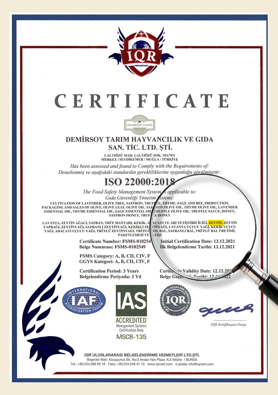 Gekratzte Oliven – 100 % natürlich, 300 g – ECOCERT-Bio-zertifiziert aus unseren eigenen Gärten