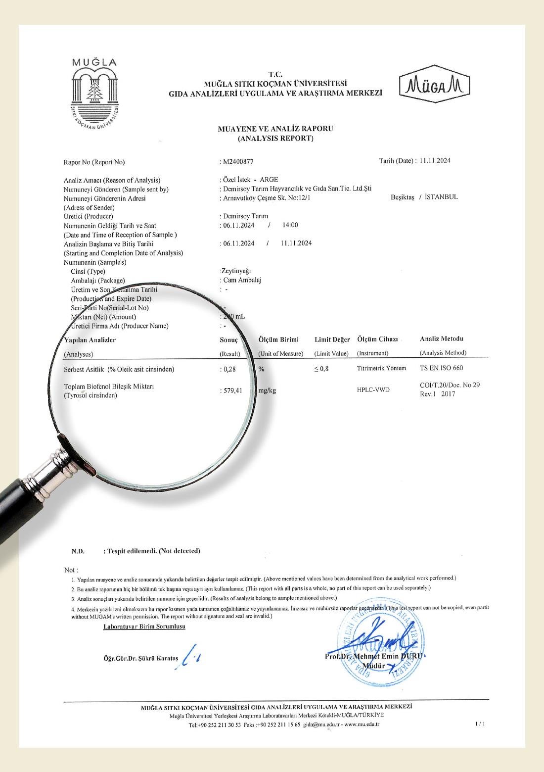 Erken Hasat Soğuk Sıkım Zeytinyağı - 2 lt