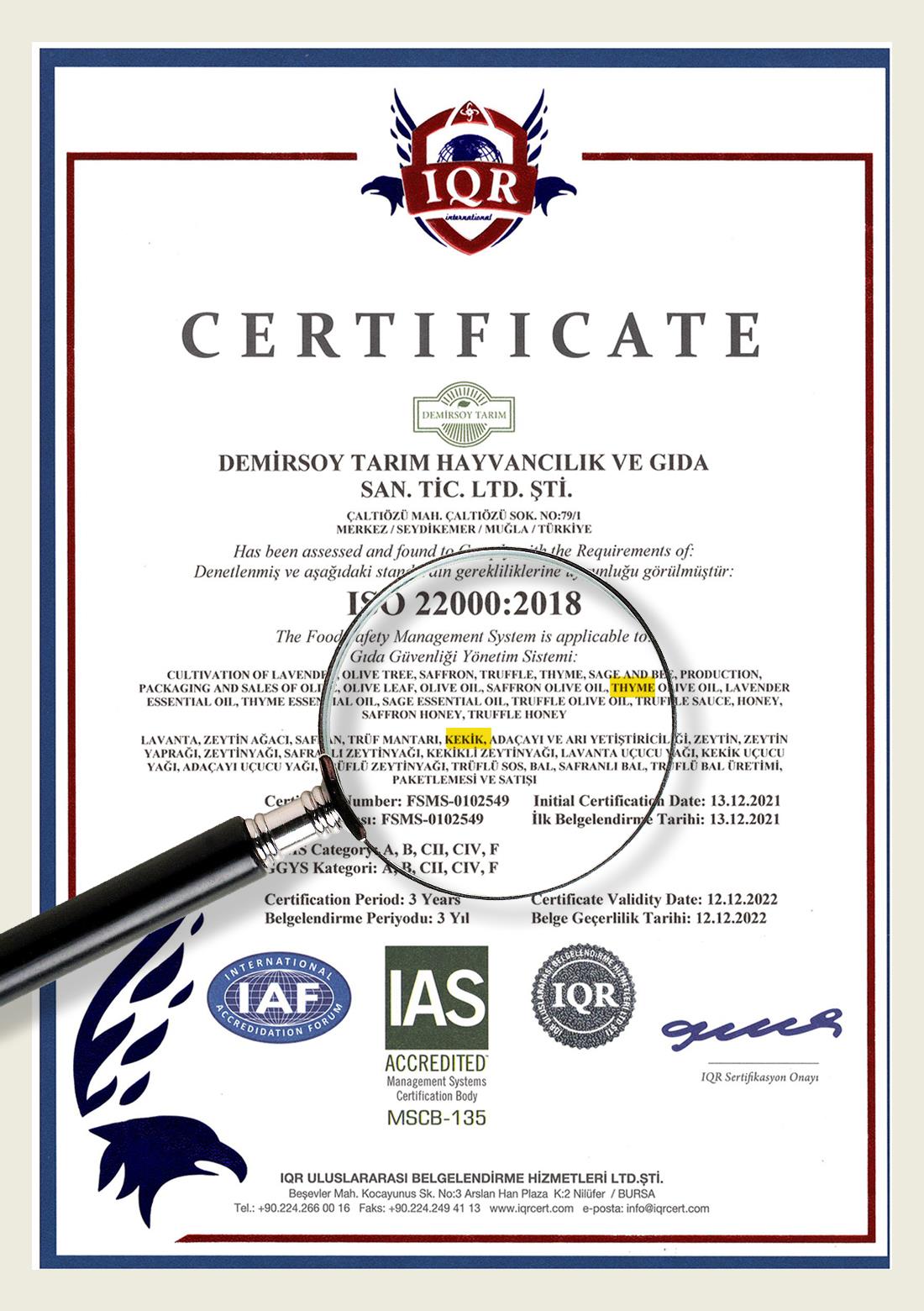 Thymian – 100% natürlich, 20 g – ECOCERT-Bio-zertifiziert aus unseren eigenen Gärten