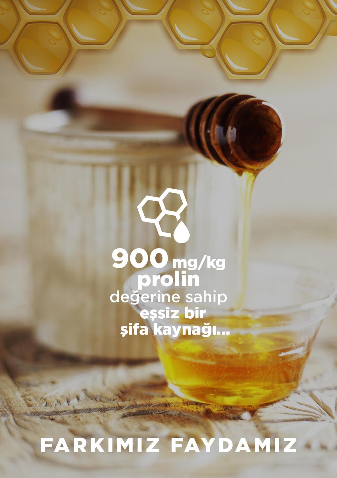 Lavendelhonig – 100% natürlich, roh, 400 g – ECOCERT-Bio-zertifiziert aus unseren eigenen Gärten