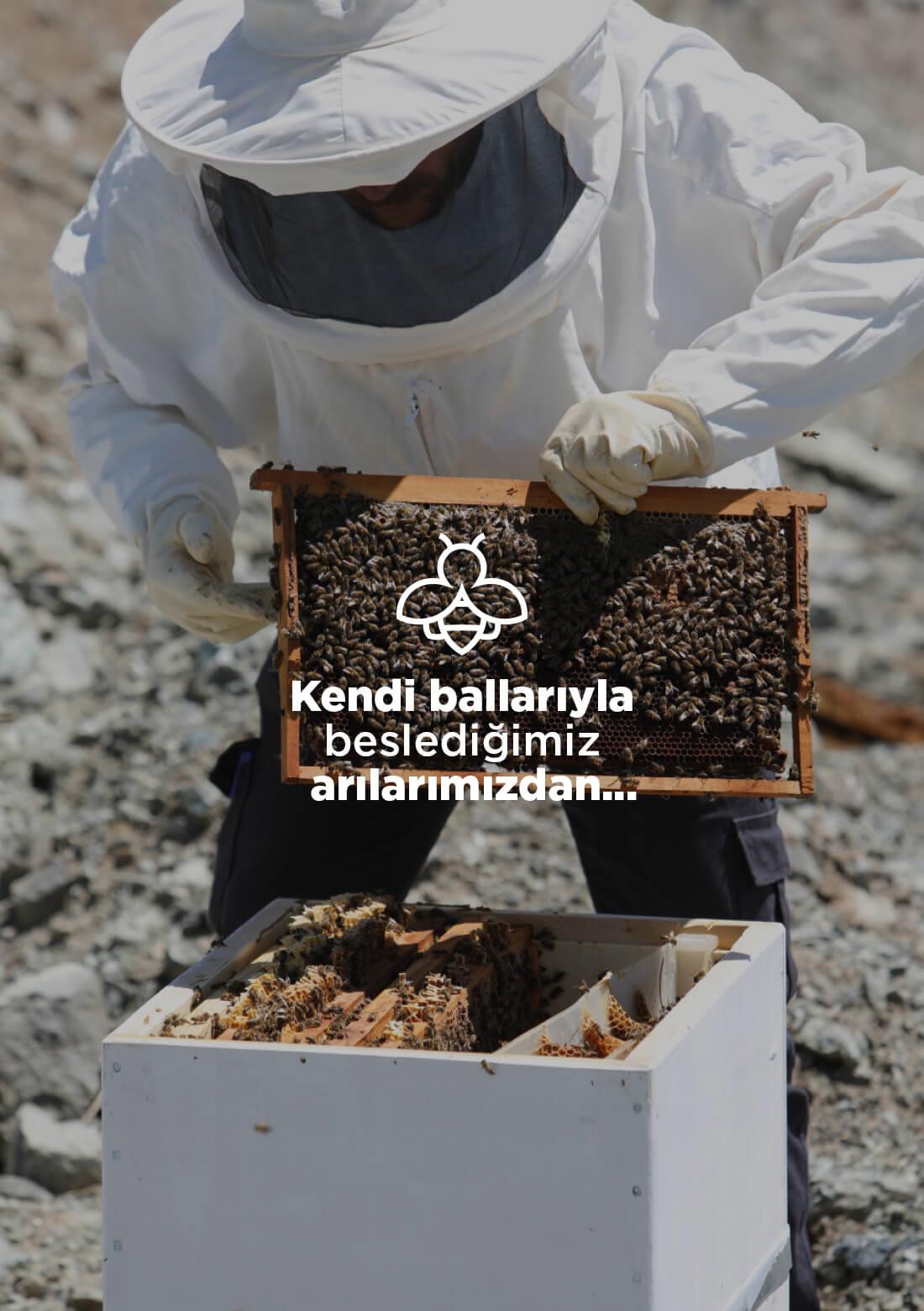 Lavendelhonig – 100% natürlich, roh, 400 g – ECOCERT-Bio-zertifiziert aus unseren eigenen Gärten