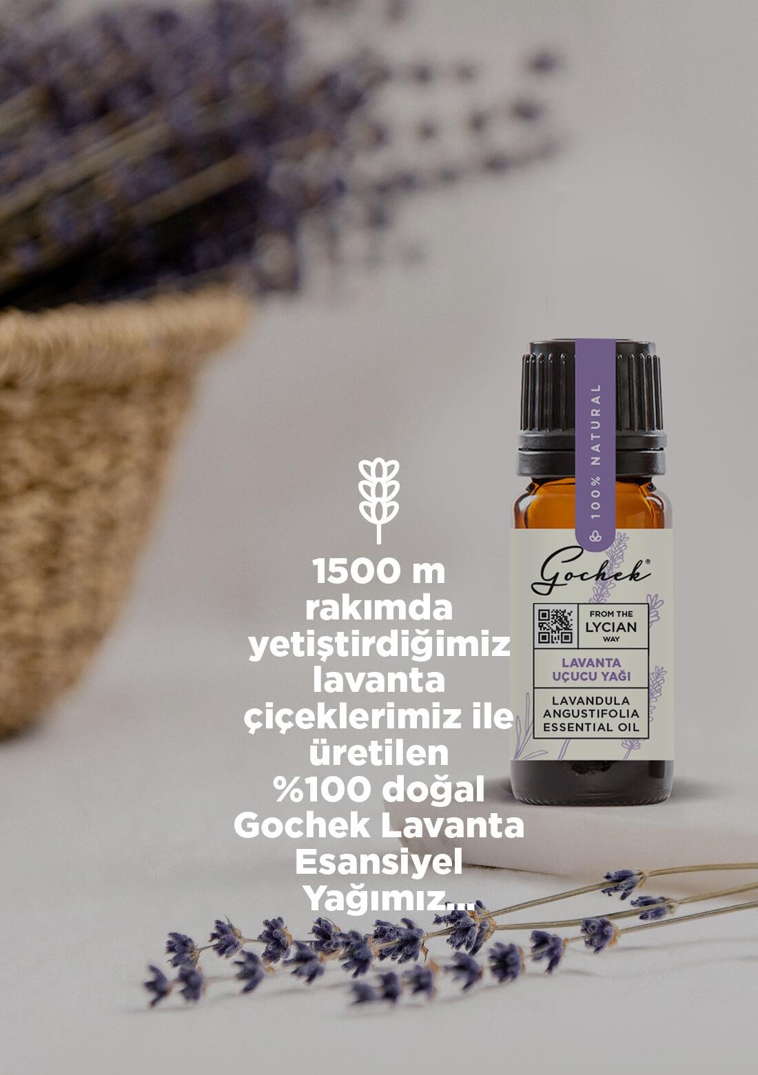 Ätherisches Lavendelöl – 100 % natürlich, 10 ml – ECOCERT-Bio-zertifiziert aus unseren eigenen Gärten