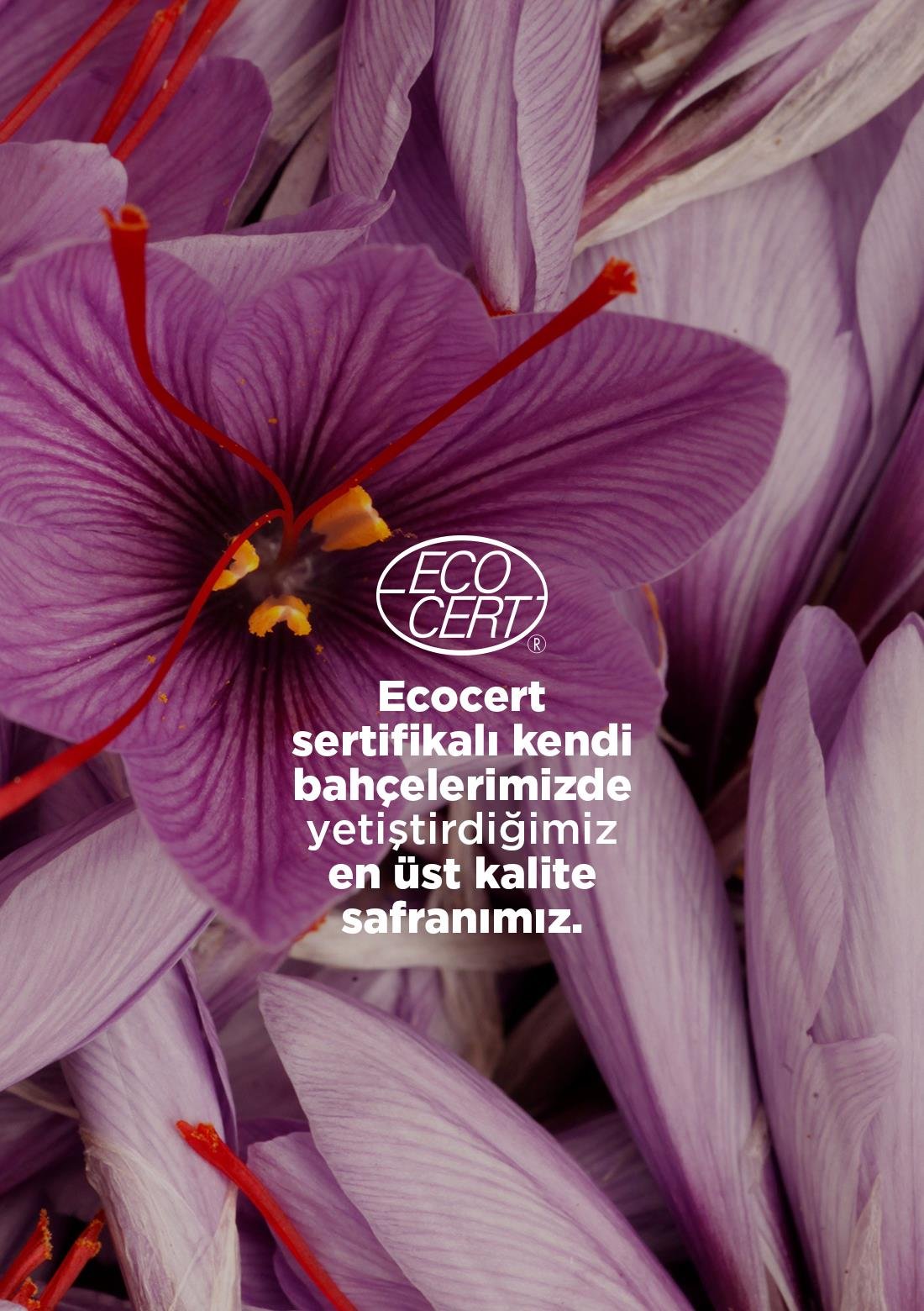 Safran – 100% natürlich, 1 g – ECOCERT-Bio-zertifiziert aus unseren eigenen Gärten