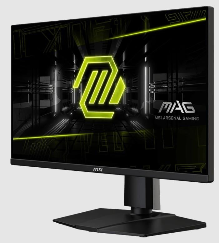 24.5 MSI MAG 255PXF 0.5MS 300HZ GTG FHD FLAT IPS