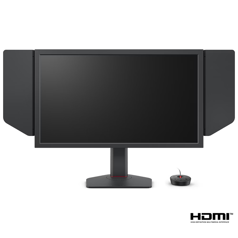 BENQ 24.1