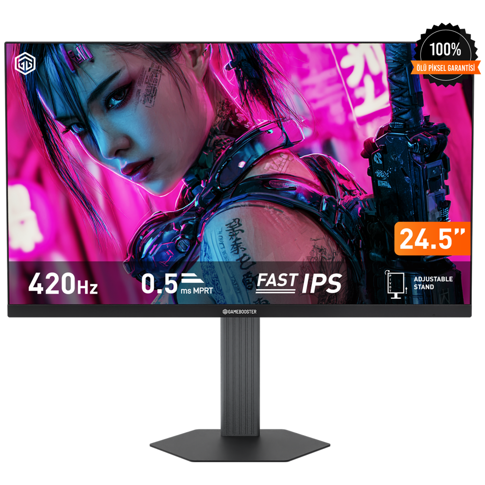 GAMEBOOSTER 24.5
