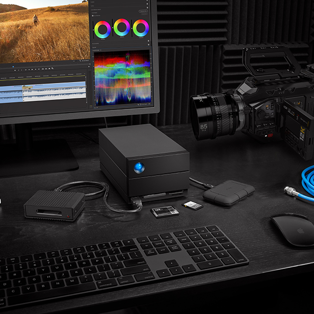 LACIE 2BIG DOCK 20TB U 3.1 STLG20000400 RAID Usb 3.0 Thunderbolt 4, Harici Disk
