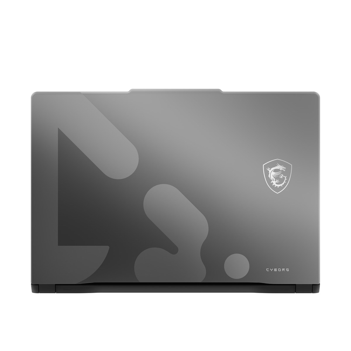 MSI  15.6