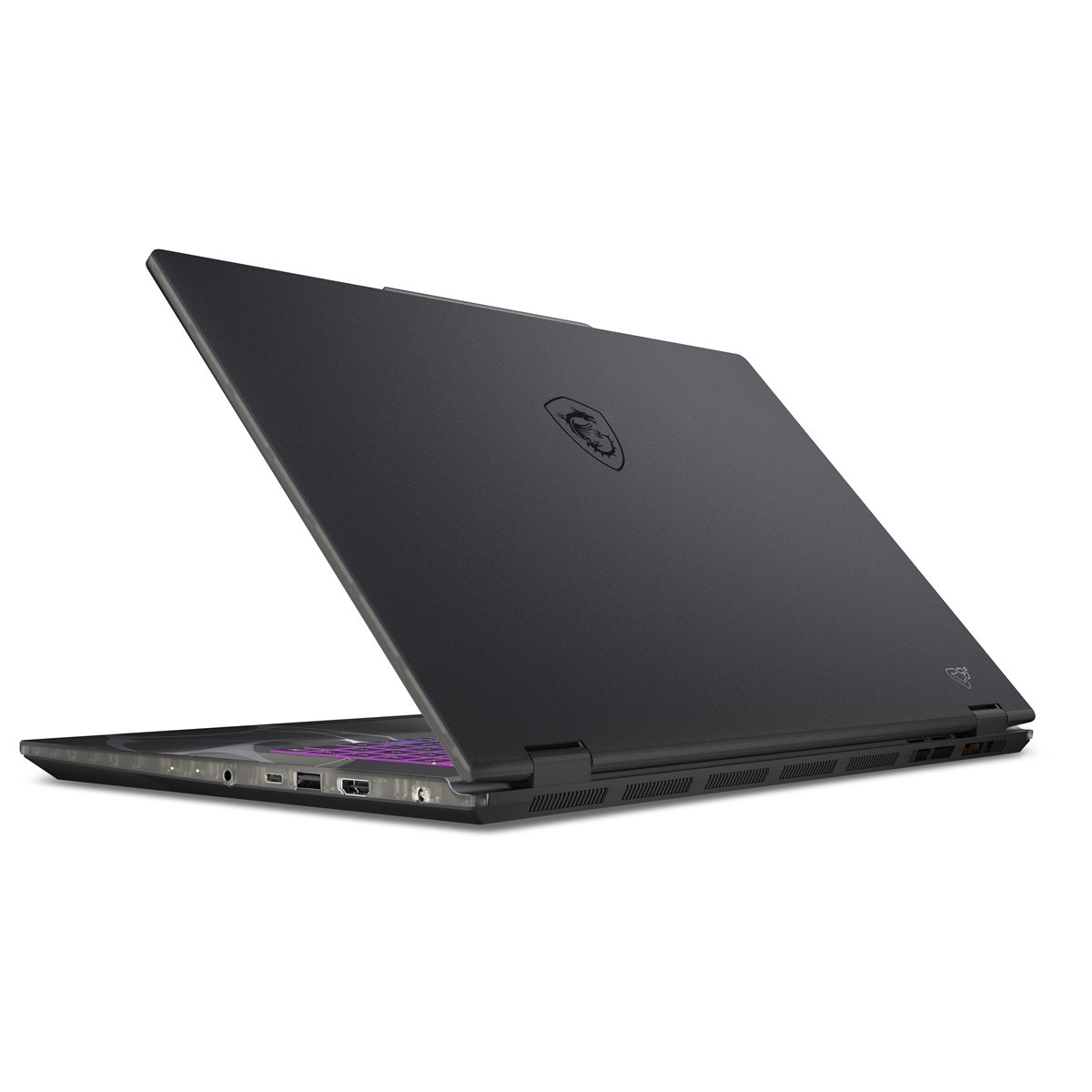 MSI 17.3