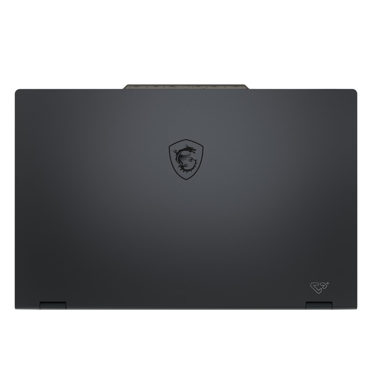 MSI 17.3