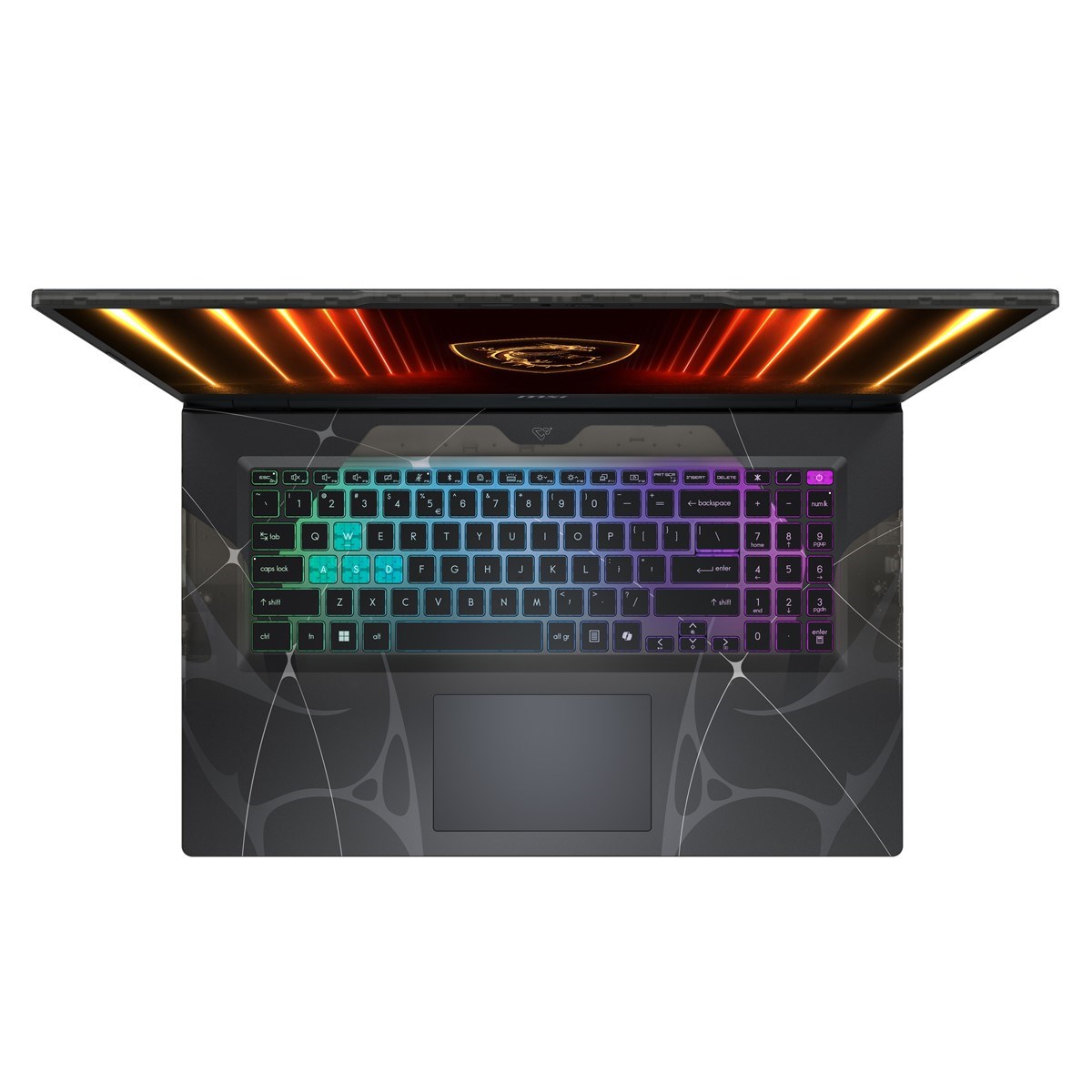 MSI 17.3