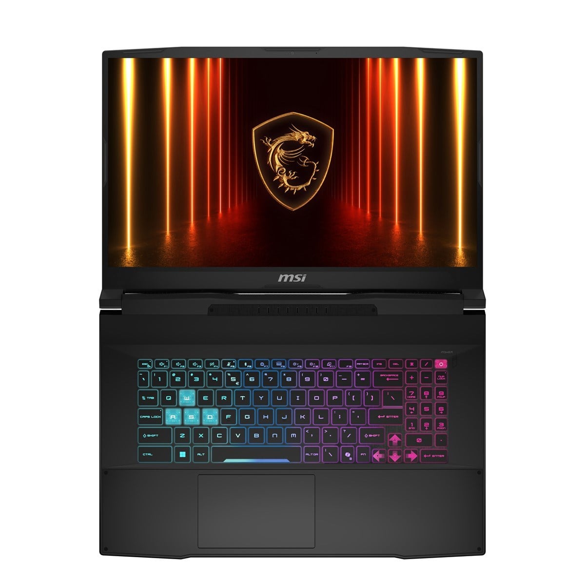 MSI 17.3