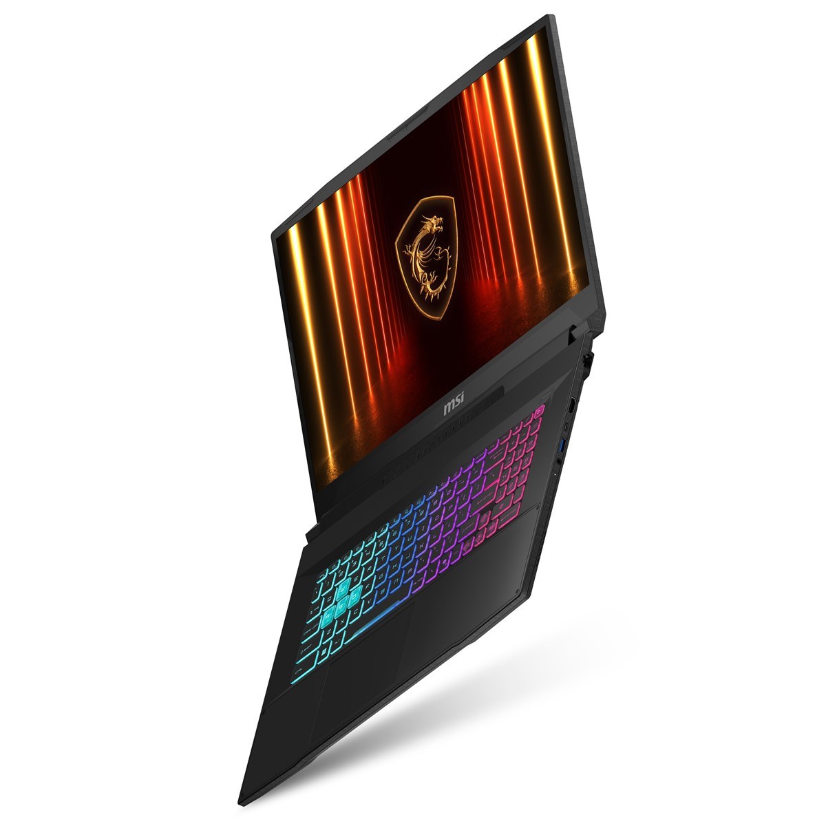 MSI 17.3