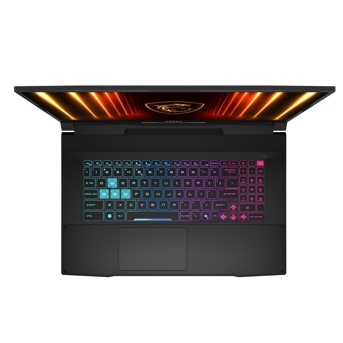 MSI 17.3