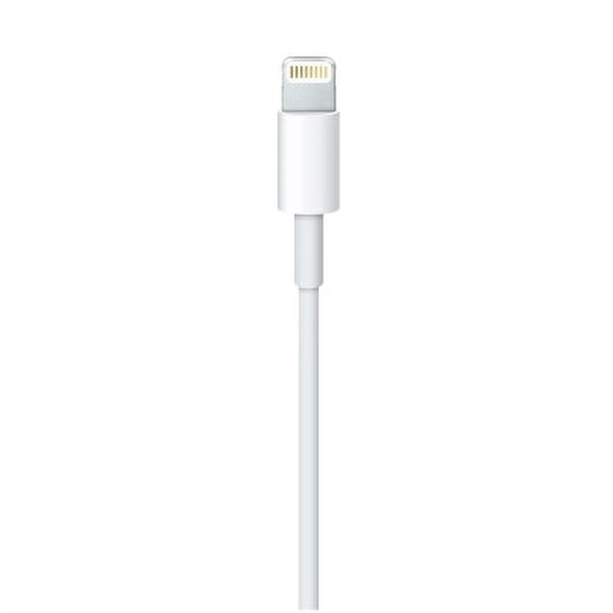 Apple Lightning - USB Kablosu (2 m) MD819ZM/A