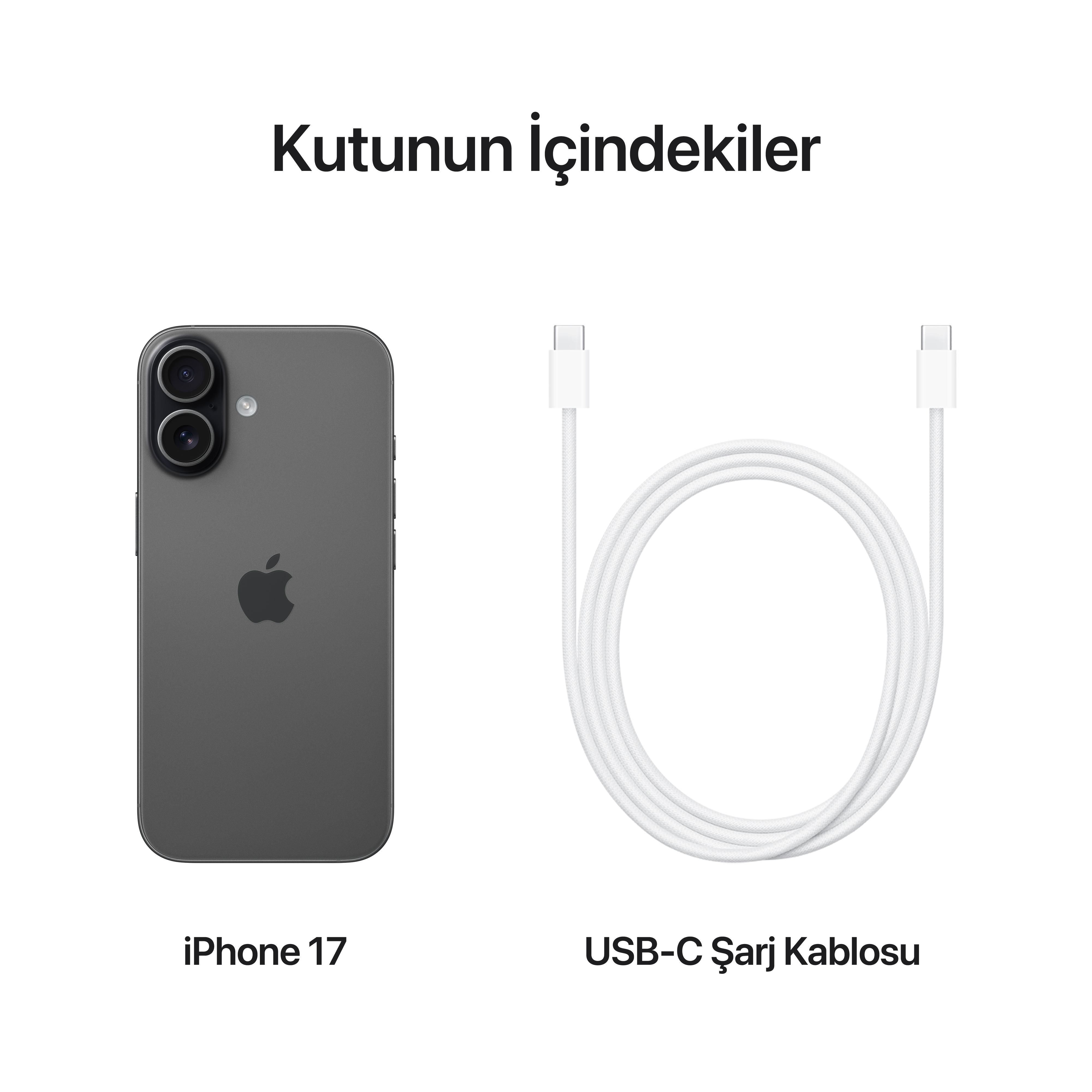 iPhone 17 256GB Siyah MG6J4TU/A