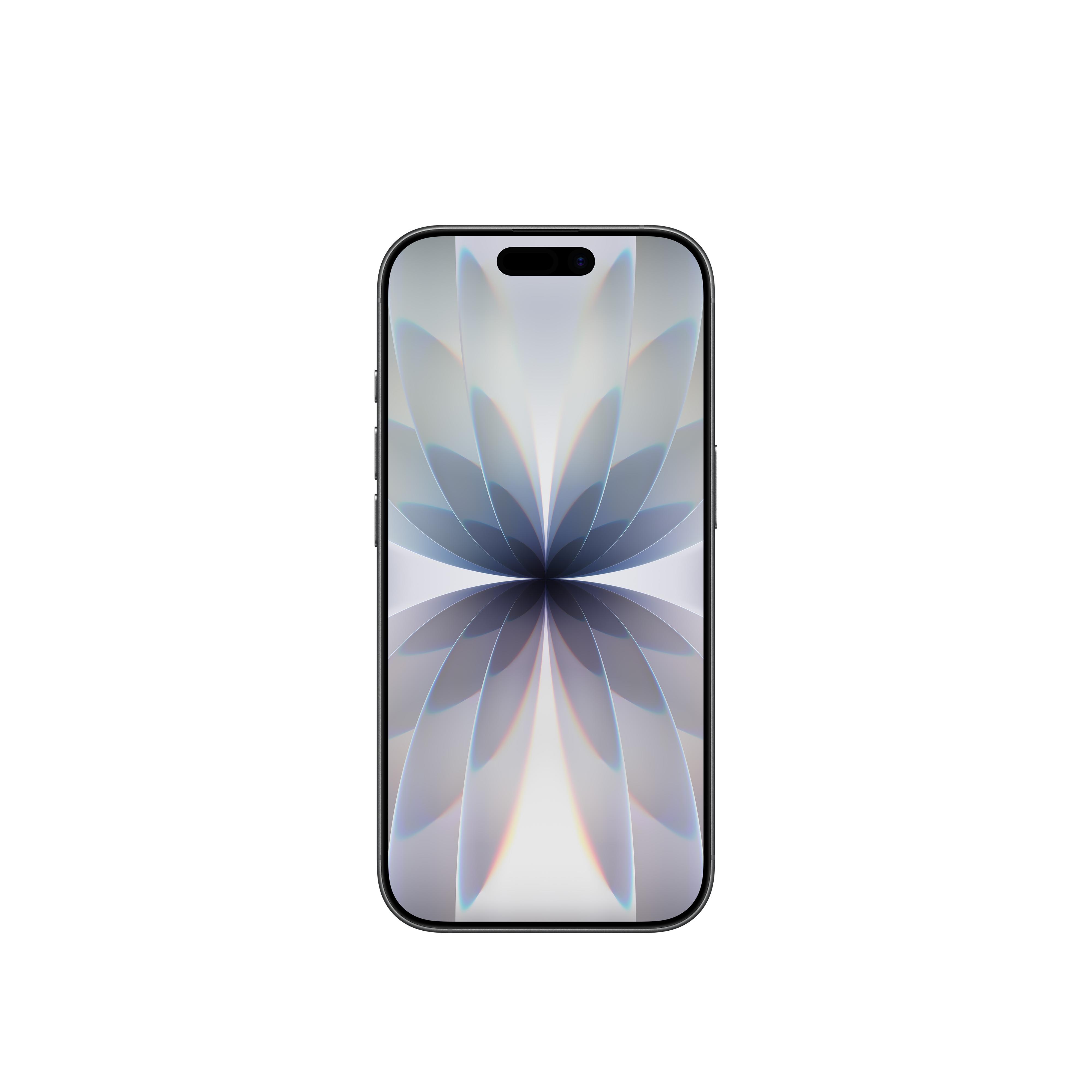 iPhone 17 256GB Siyah MG6J4TU/A