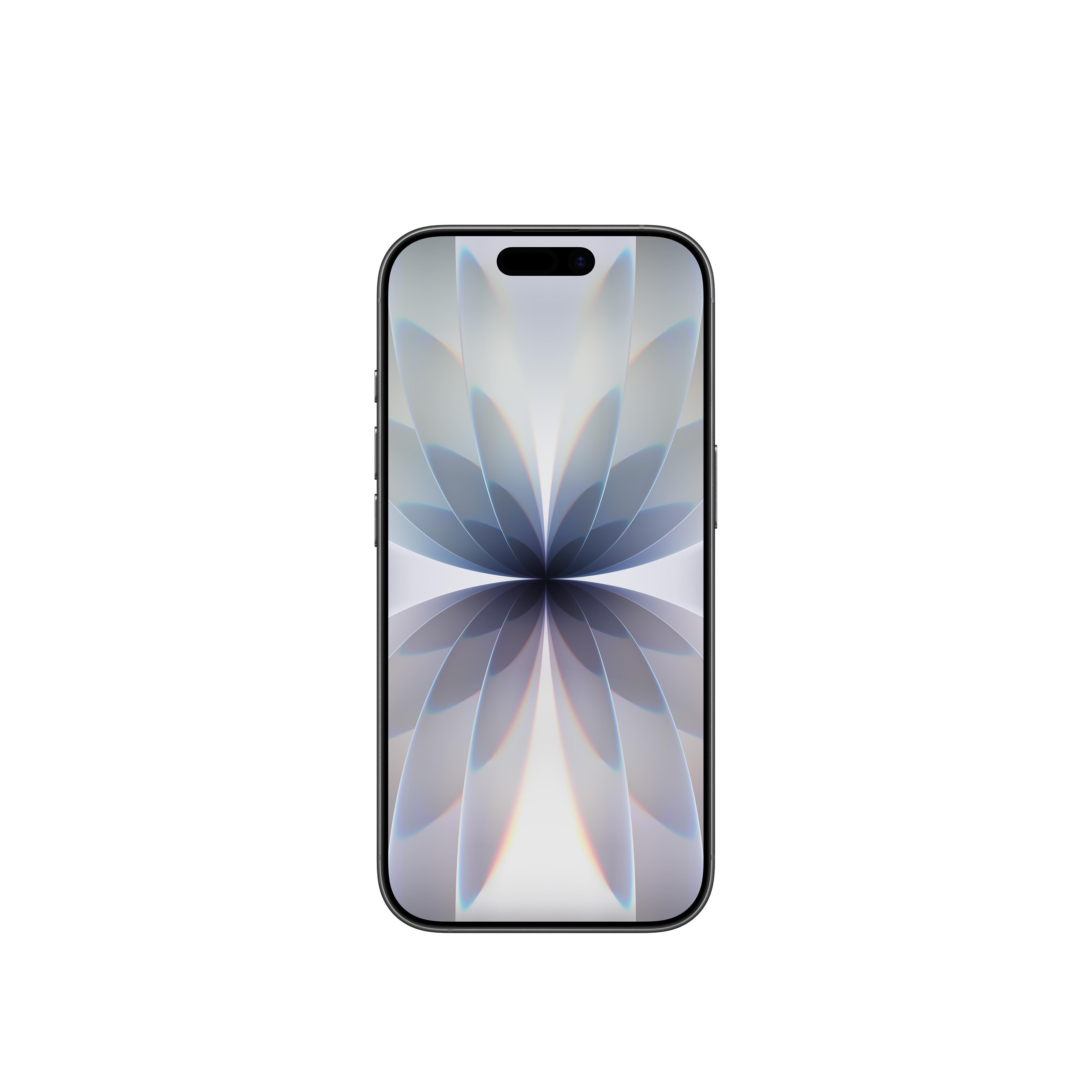 iPhone 17 256GB Siyah MG6J4TU/A