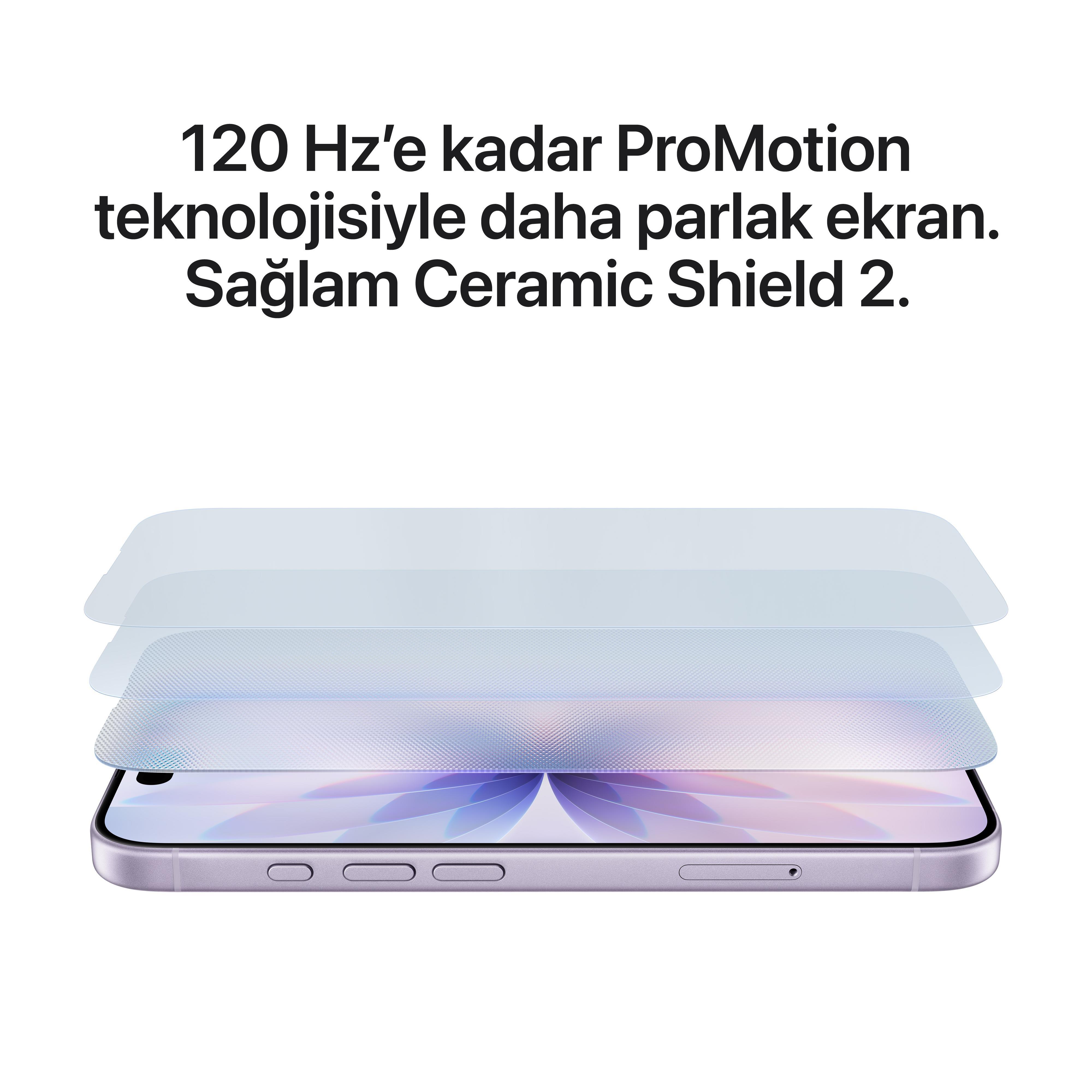 iPhone 17 256GB Sis Mavisi MG6L4TU/A