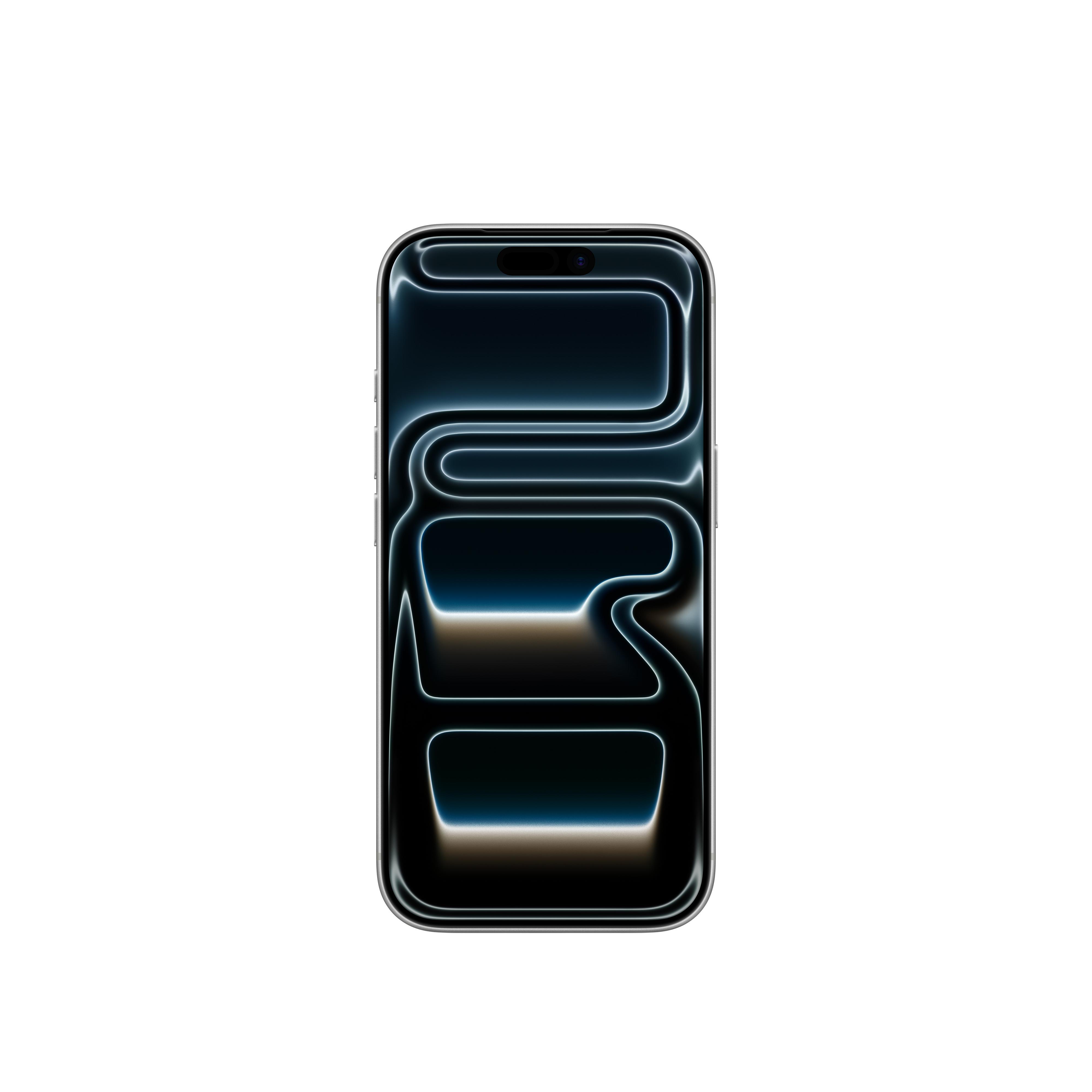 iPhone 17 Pro 256GB Gümüş MG8G4TU/A