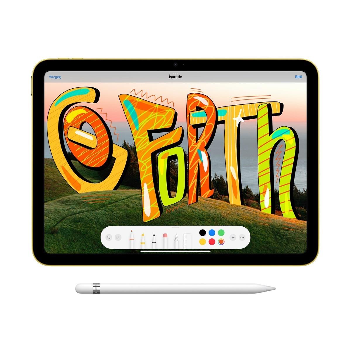 iPad 10.9'' (10.Nesil) Wi-Fi + Cellular 256GB Gümüş MQ6T3TU/A